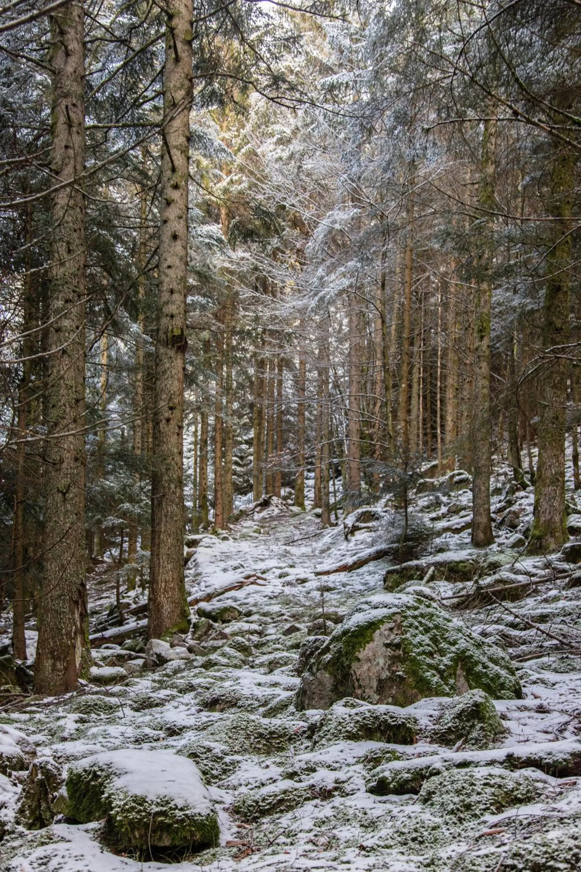 Hiking in Chambres d'hôtes Domaine des Iris