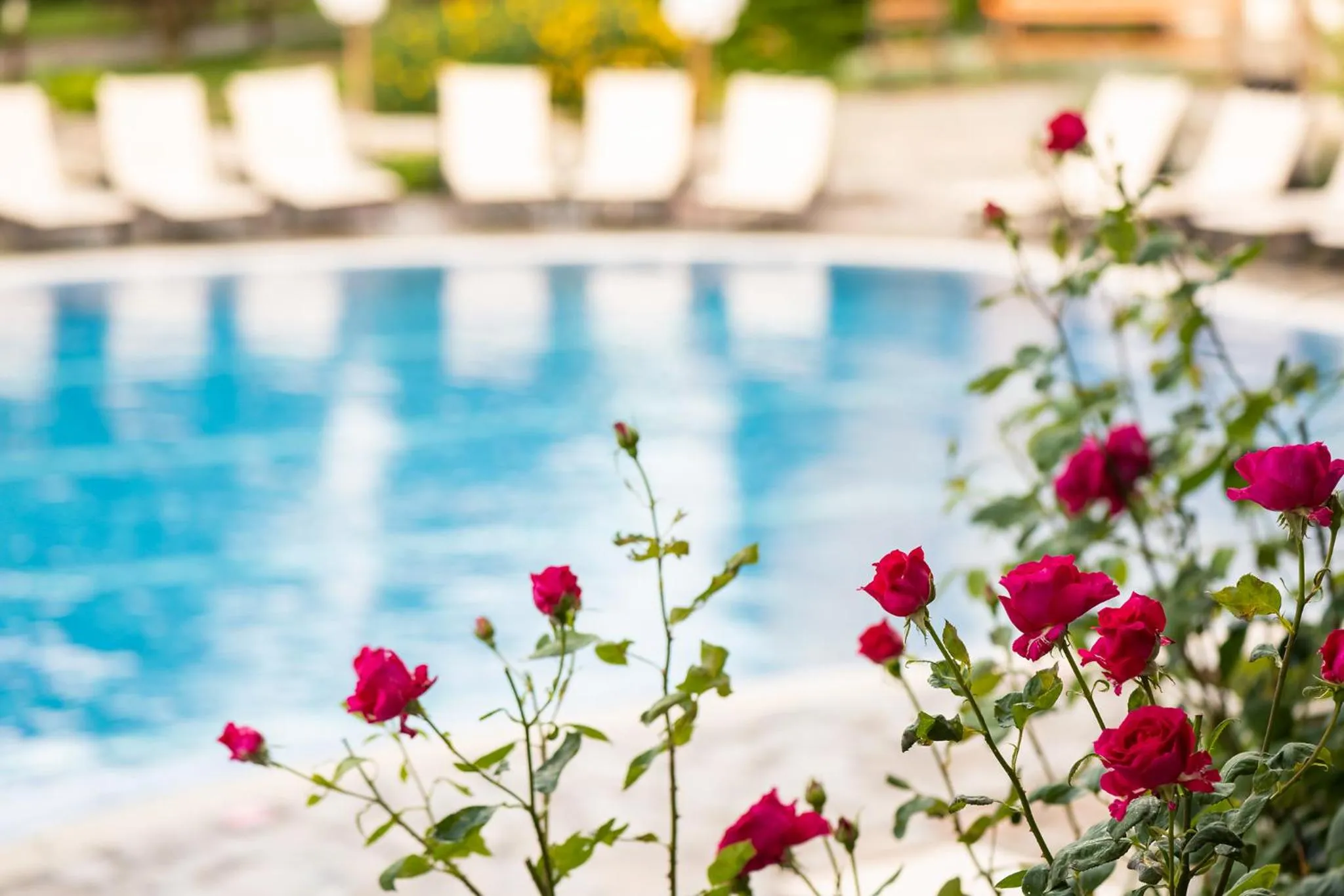 Swimming pool in Garden of Eden Complex