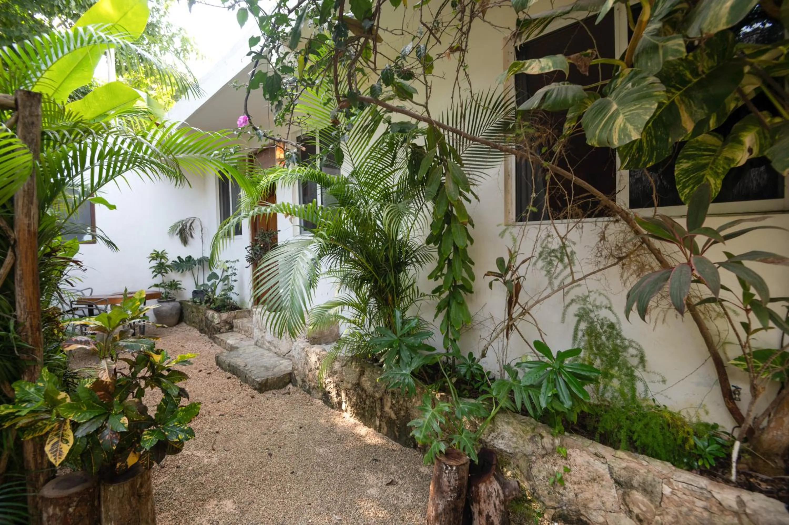 Property building in Huaya Camp