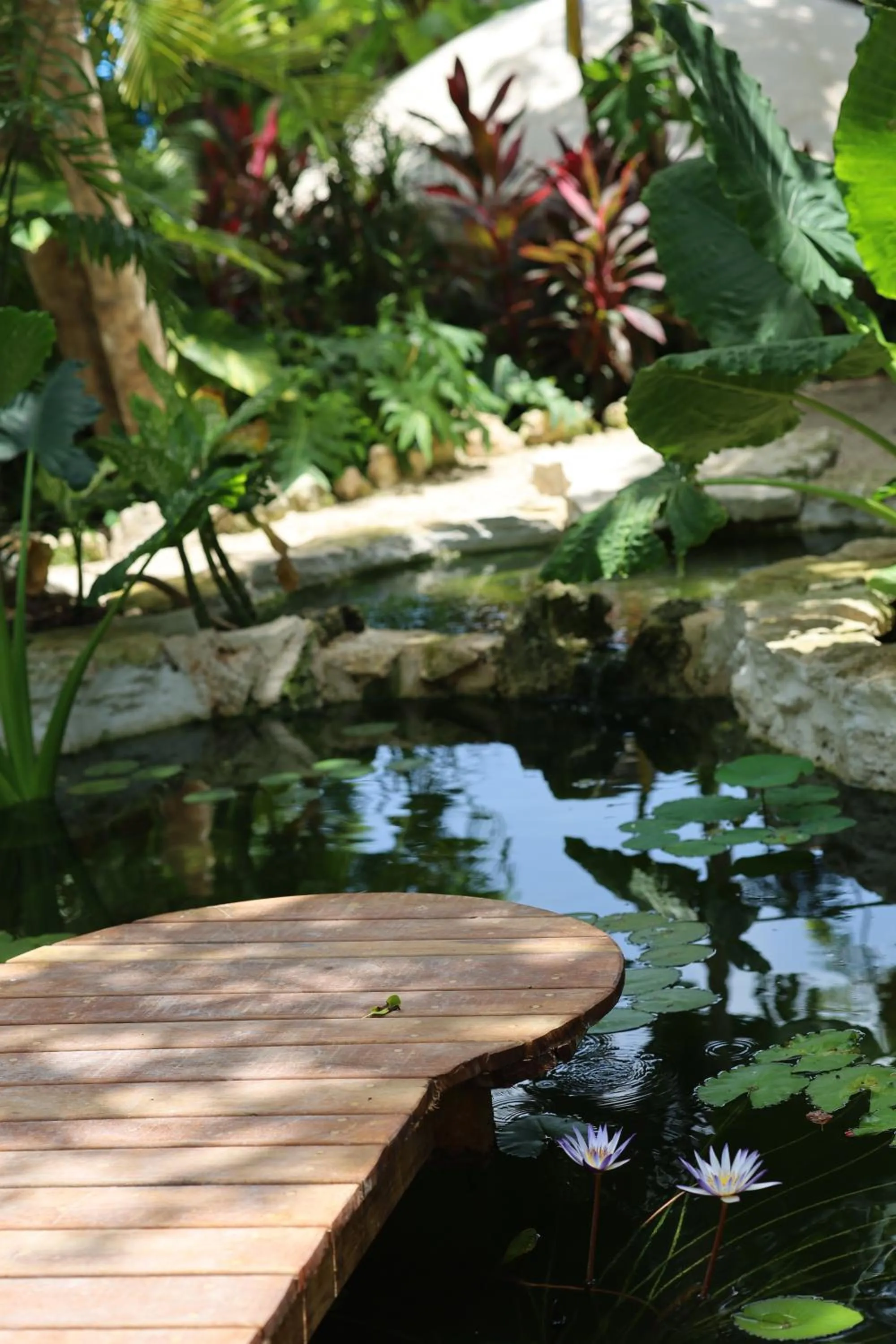 Spa and wellness centre/facilities in Huaya Camp