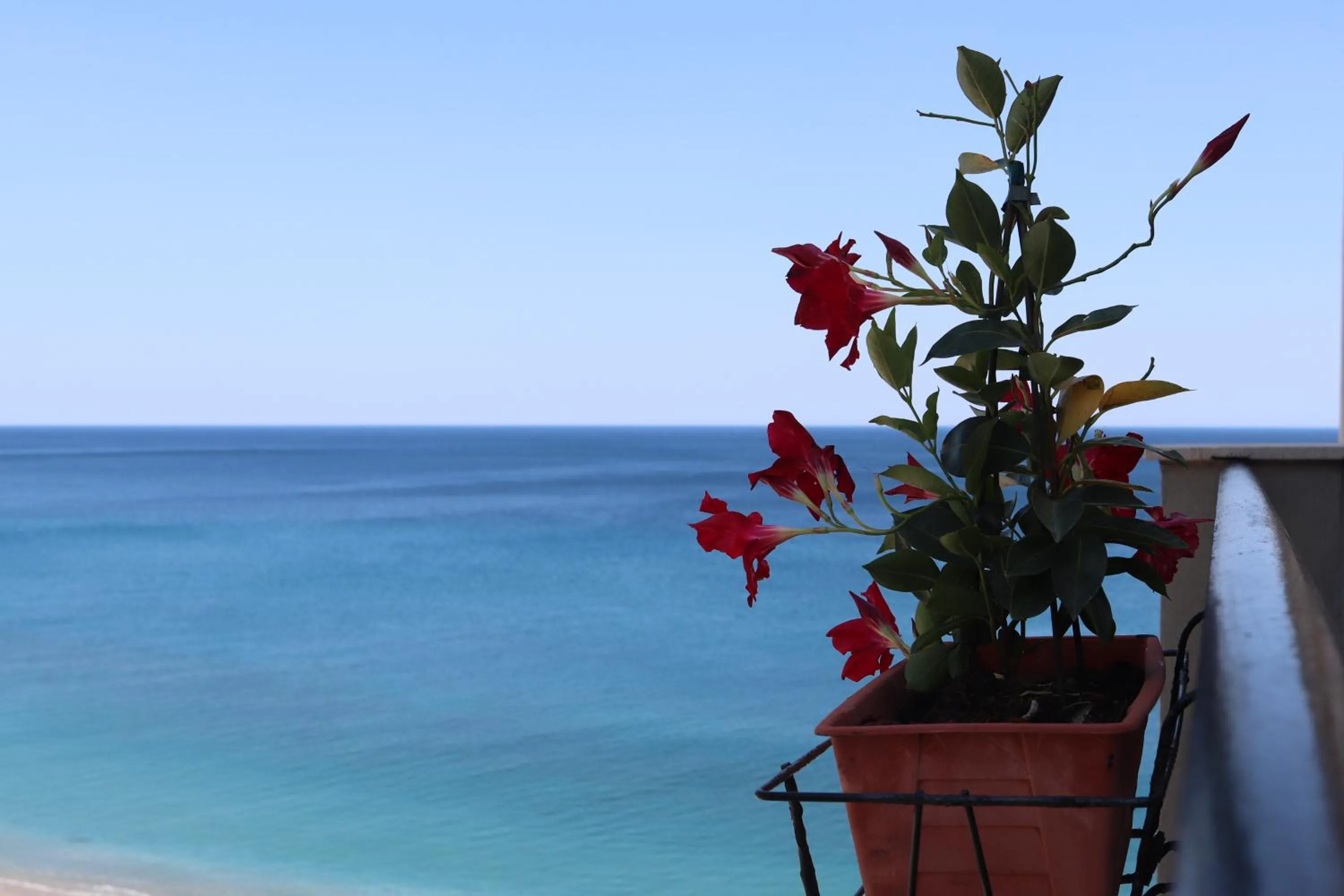 Balcony/Terrace in Park Hotel Silemi