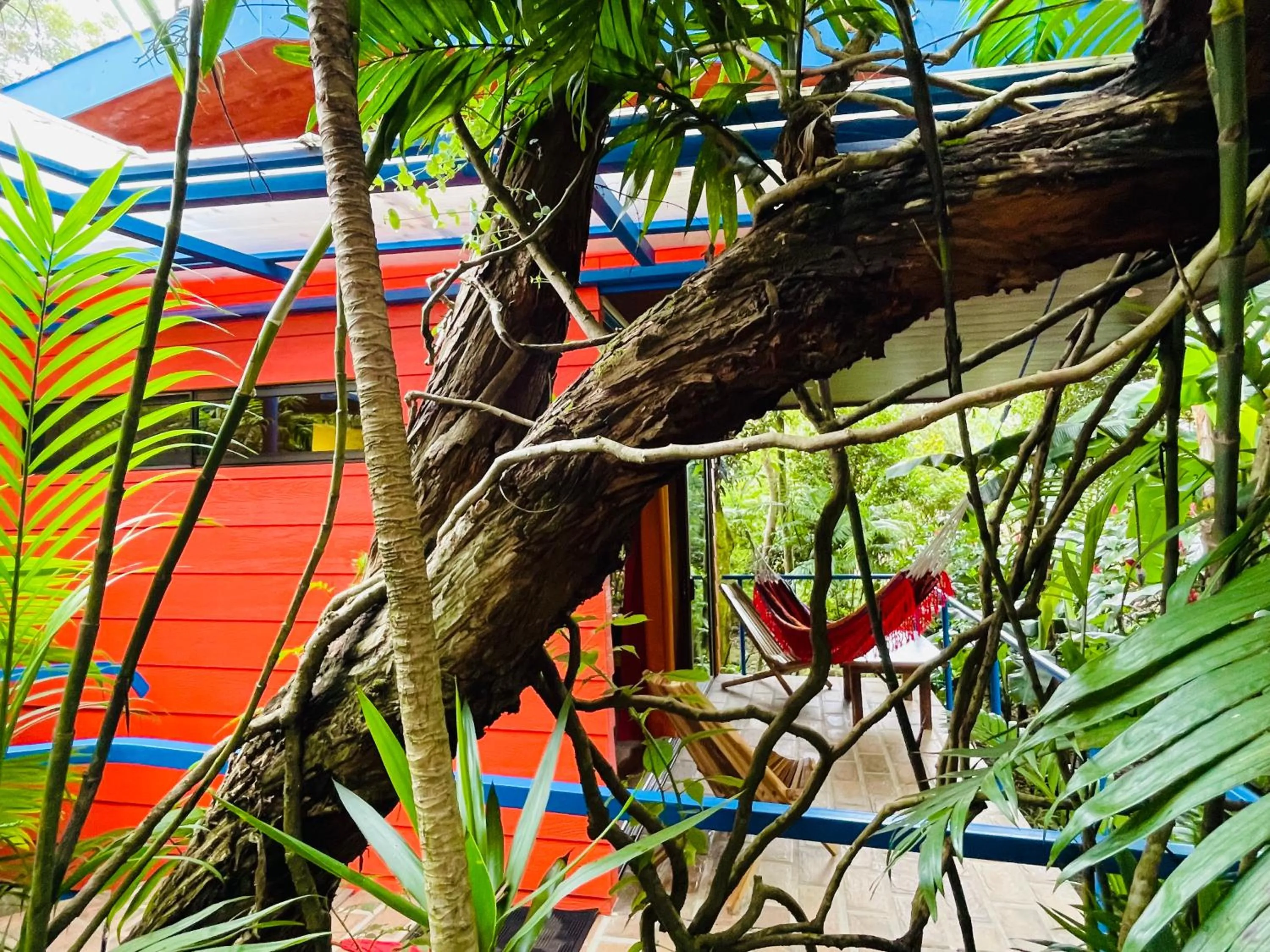 Garden in El Sol Monteverde