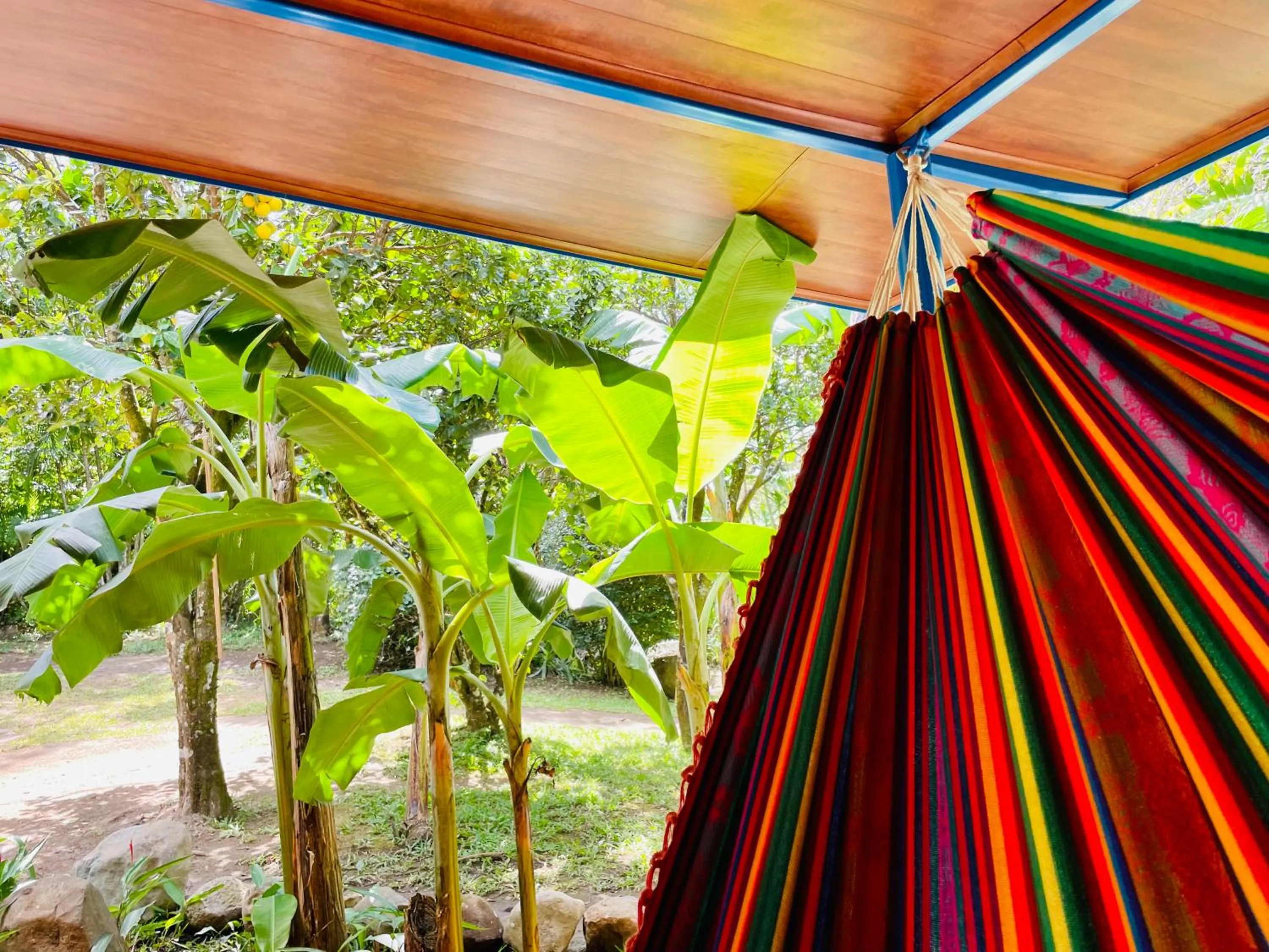 Garden in El Sol Monteverde