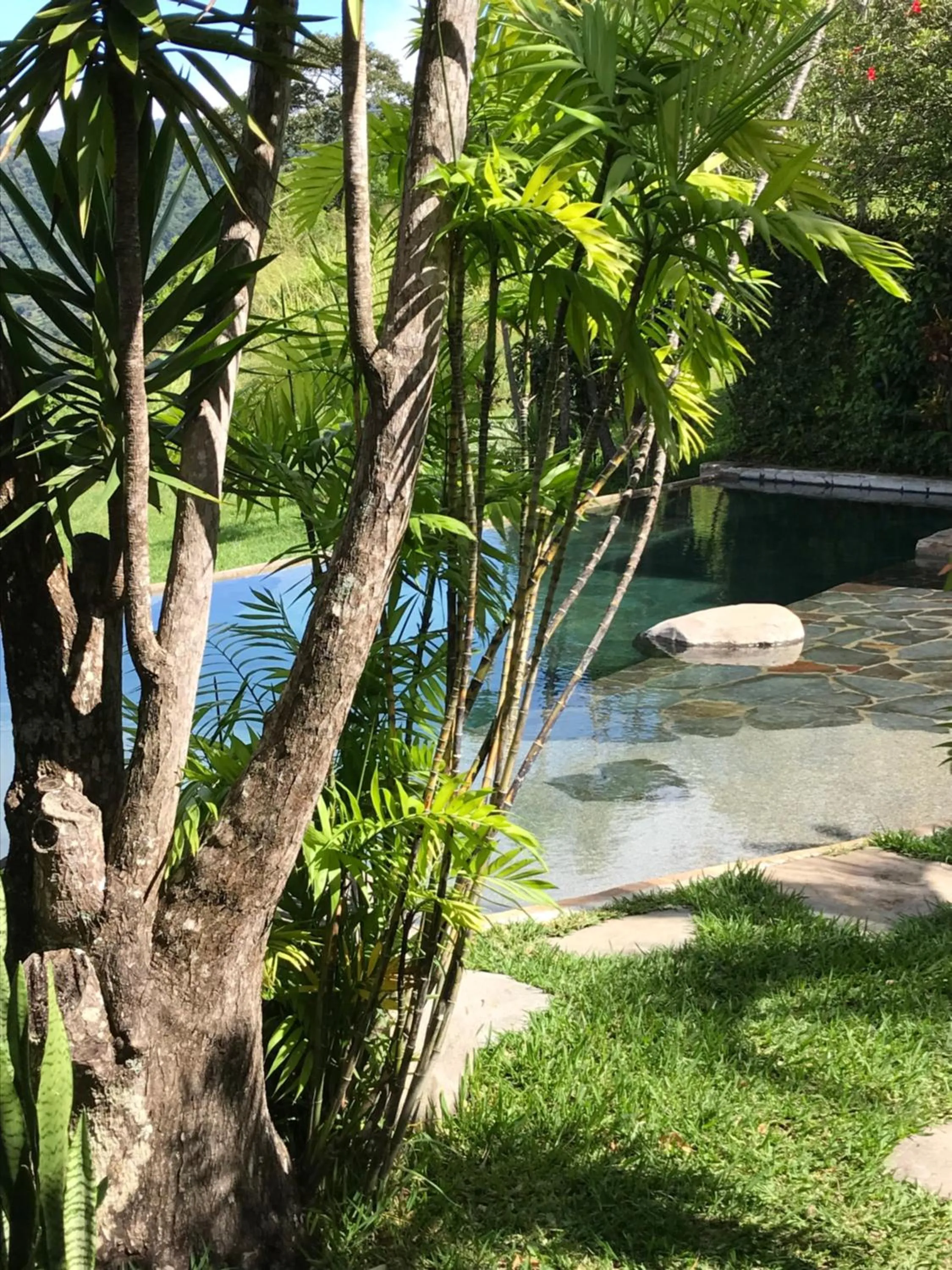 Swimming pool in El Sol Monteverde