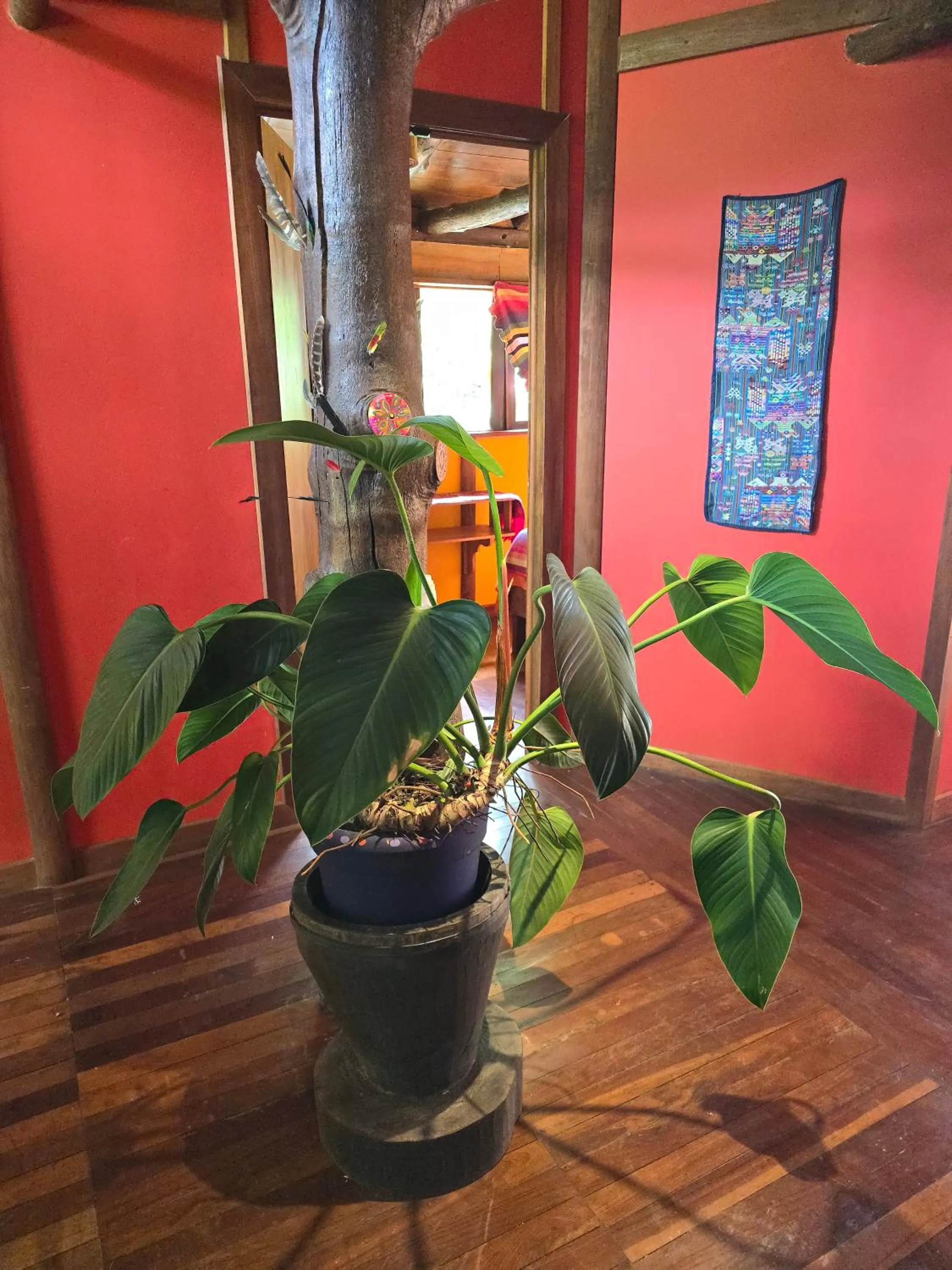 Decorative detail in El Sol Monteverde