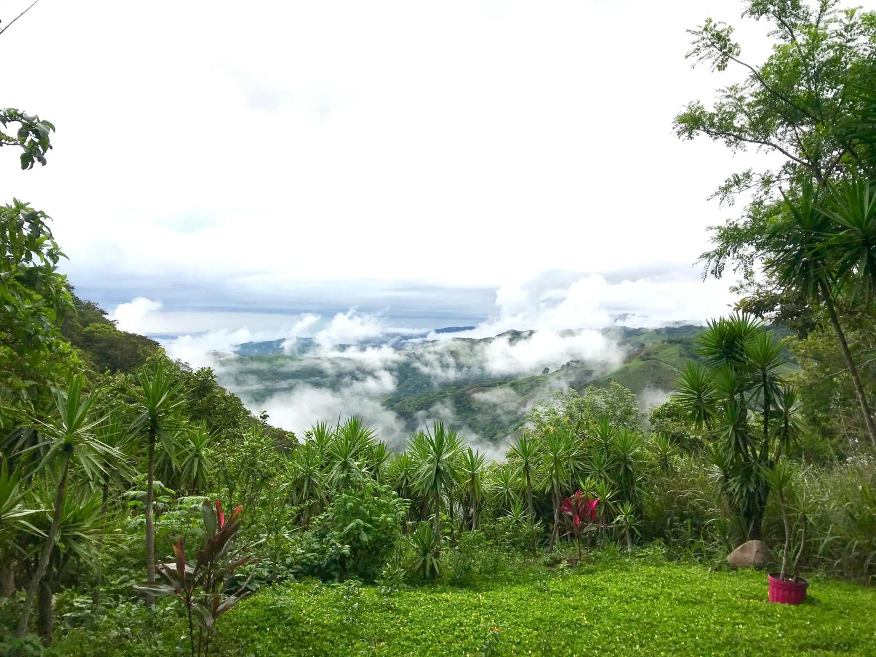 Mountain view in El Sol Monteverde