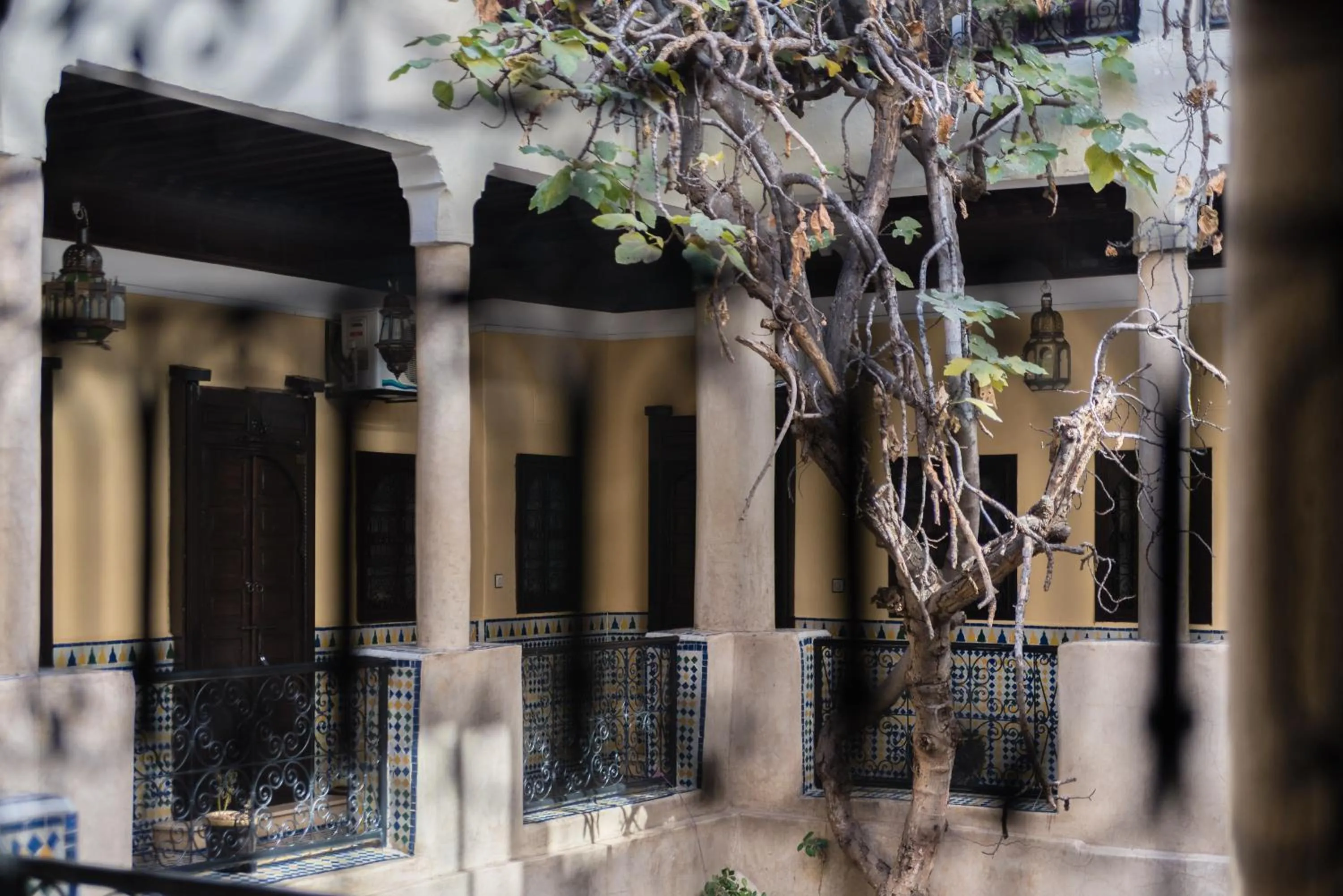 Balcony/Terrace in Riad Omar