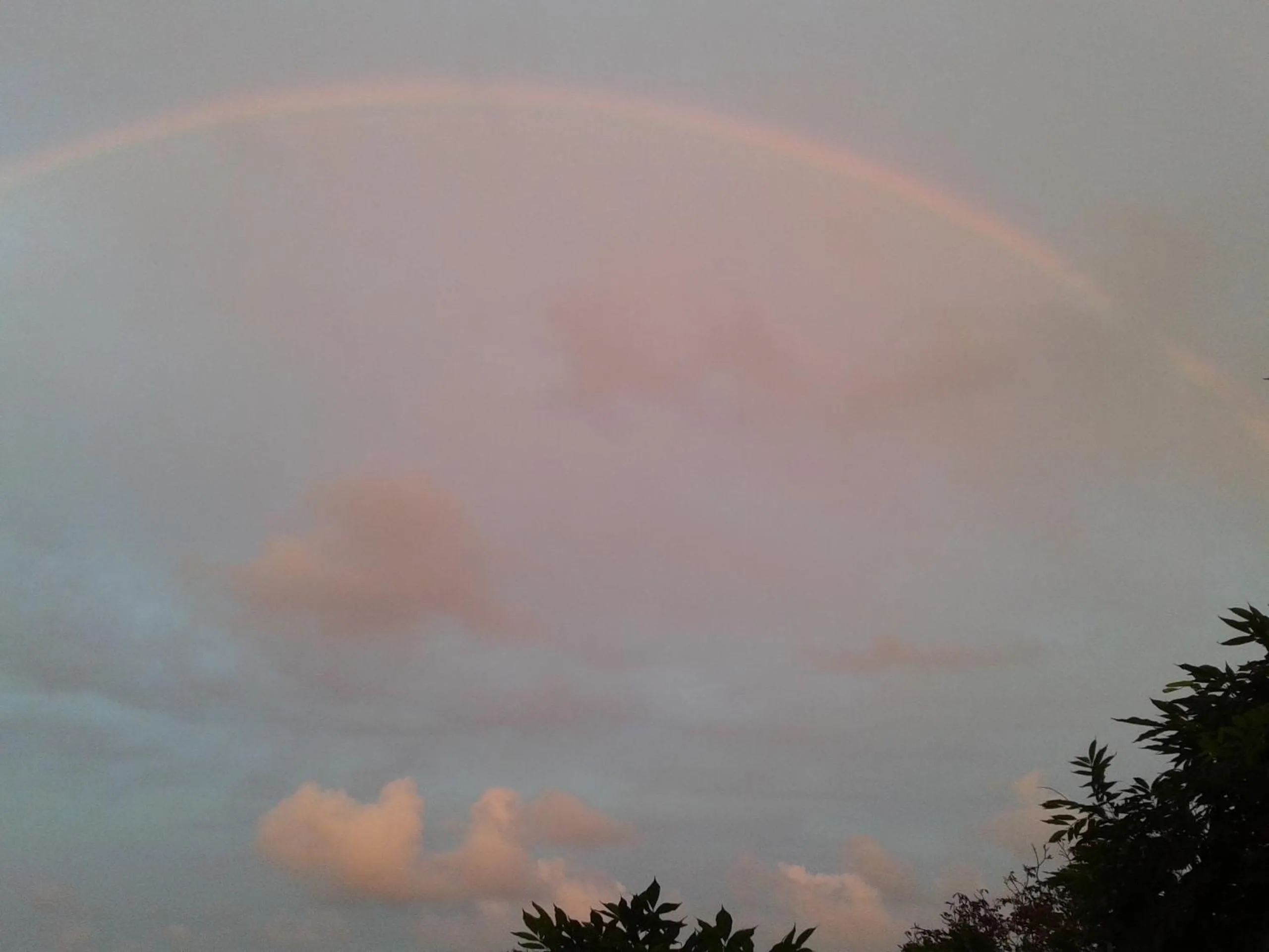 View (from property/room) in The Colourful Mansion Hotel
