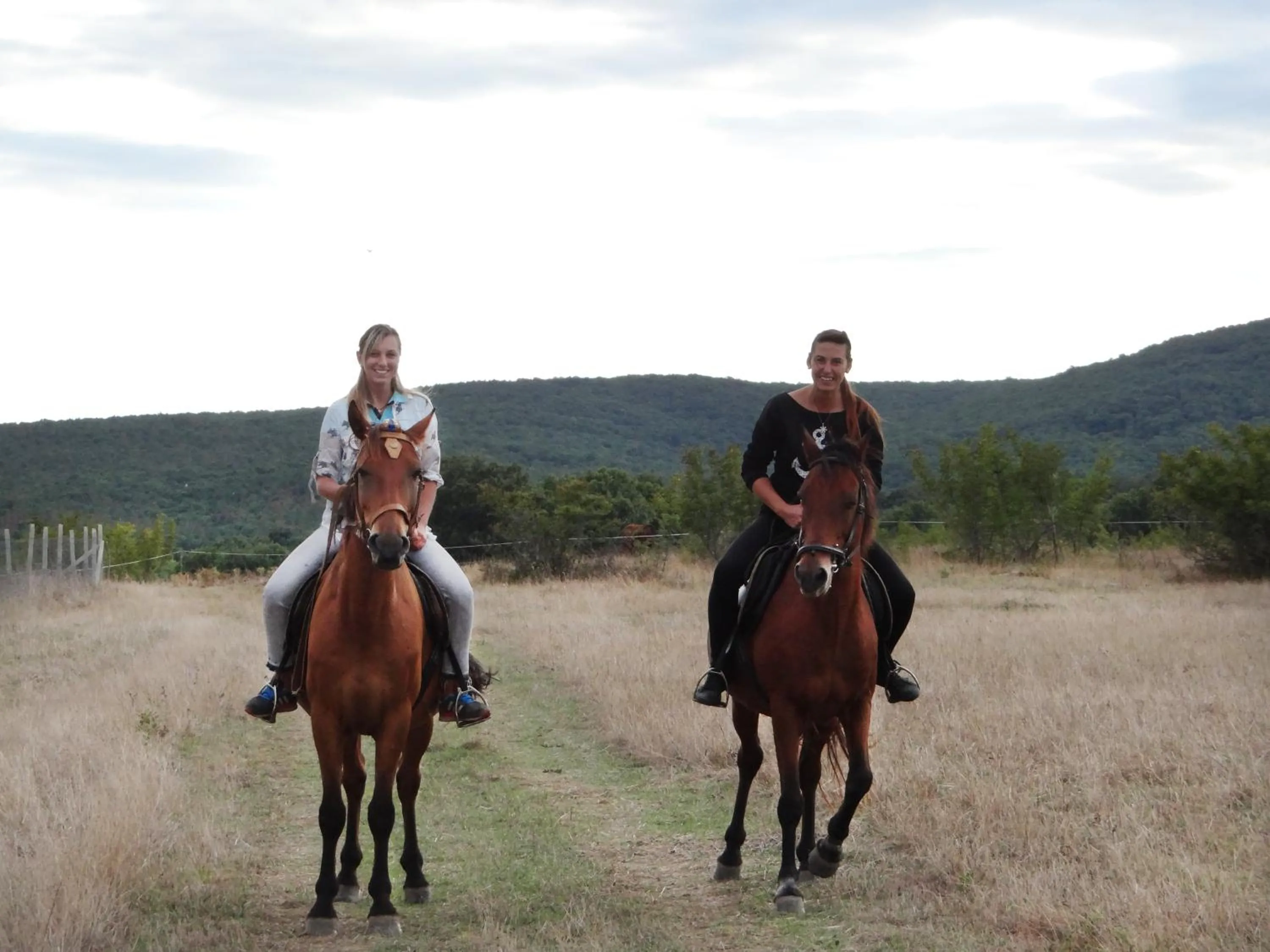 Horse-riding in The Colourful Mansion Hotel