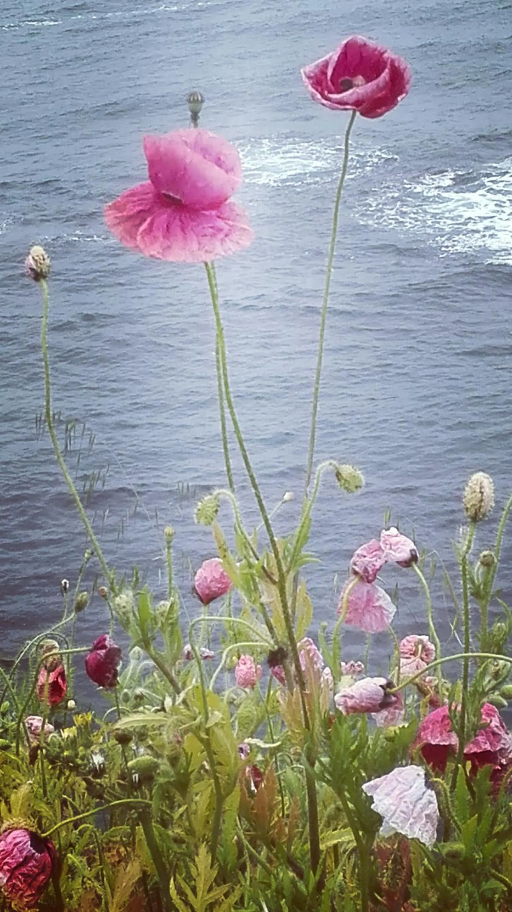 Hiking in The Colourful Mansion Hotel
