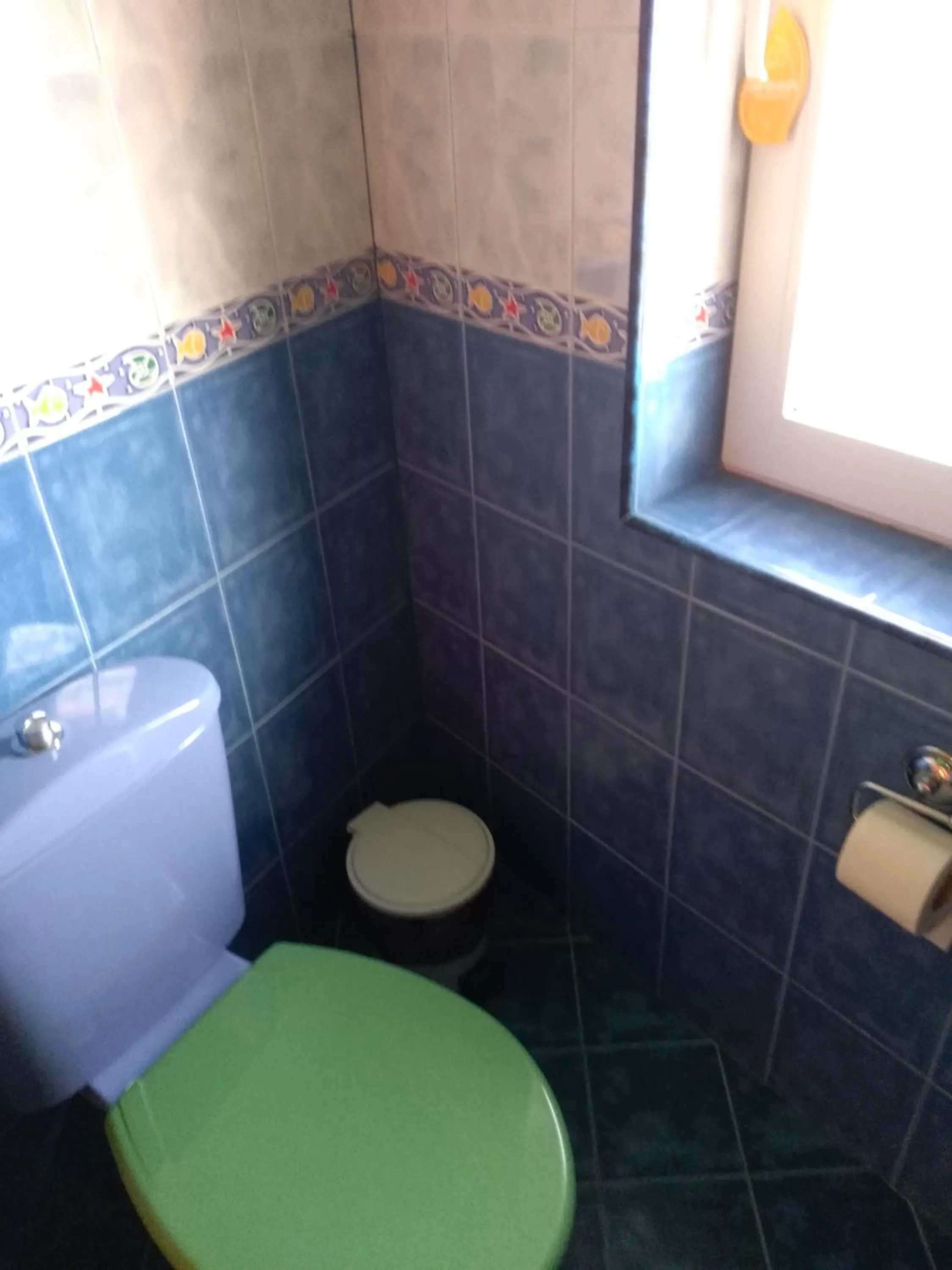 Toilet in The Colourful Mansion Hotel