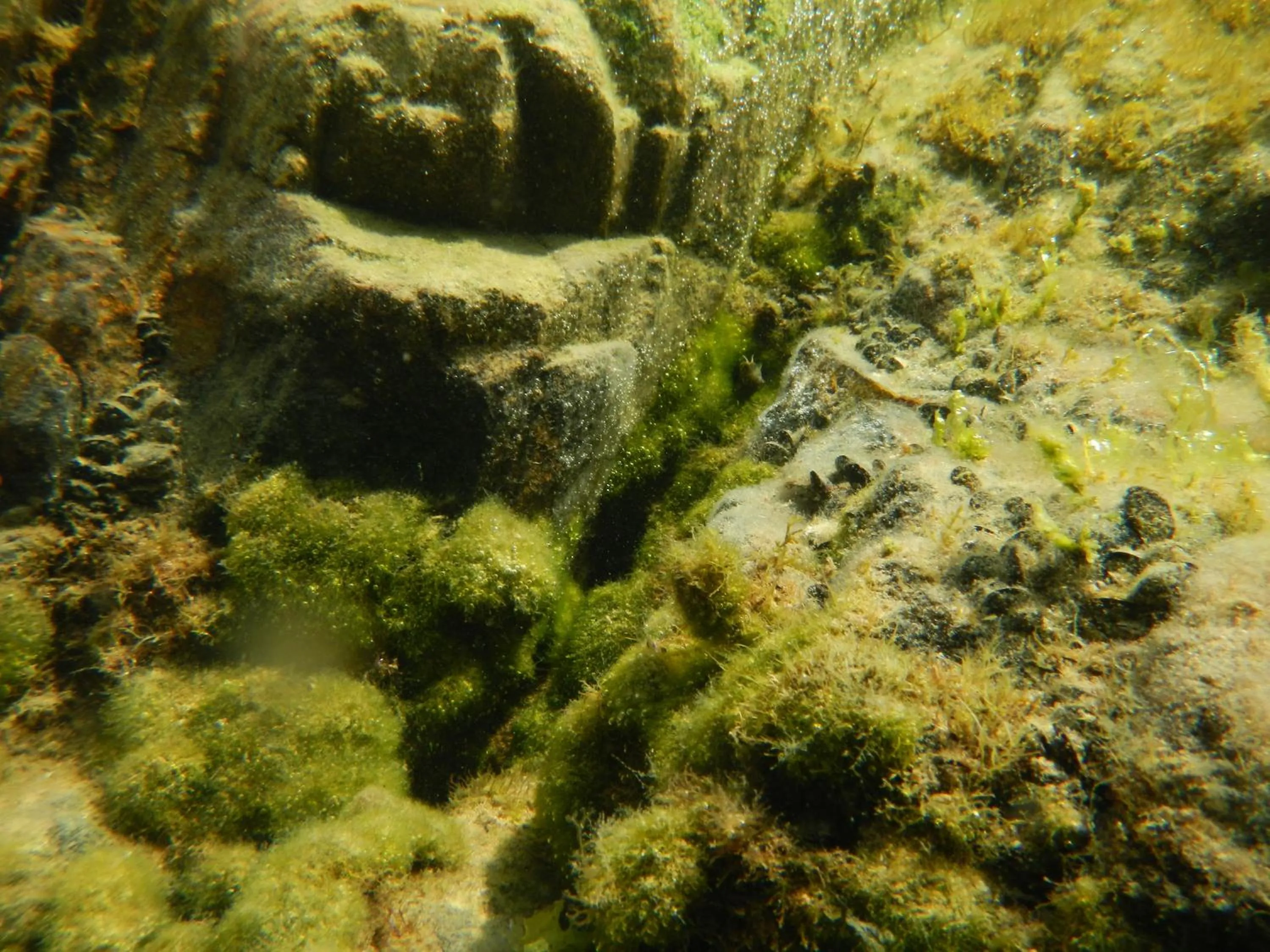 Area and facilities in The Colourful Mansion Hotel