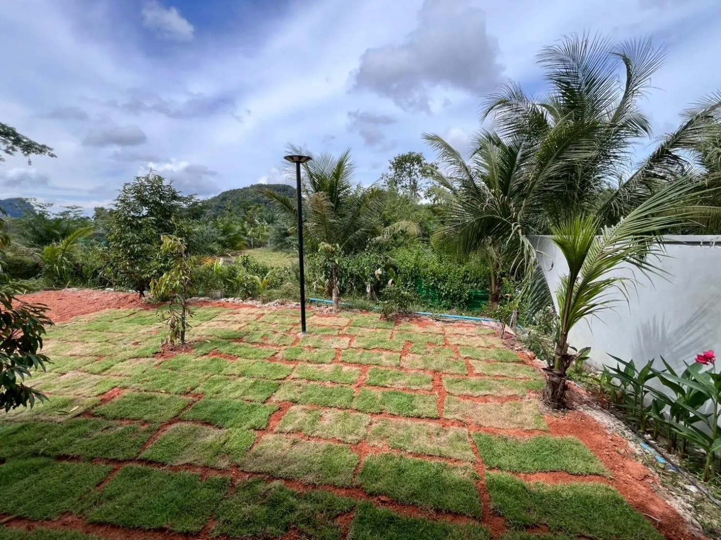 Garden in Marigold Aonang Resort