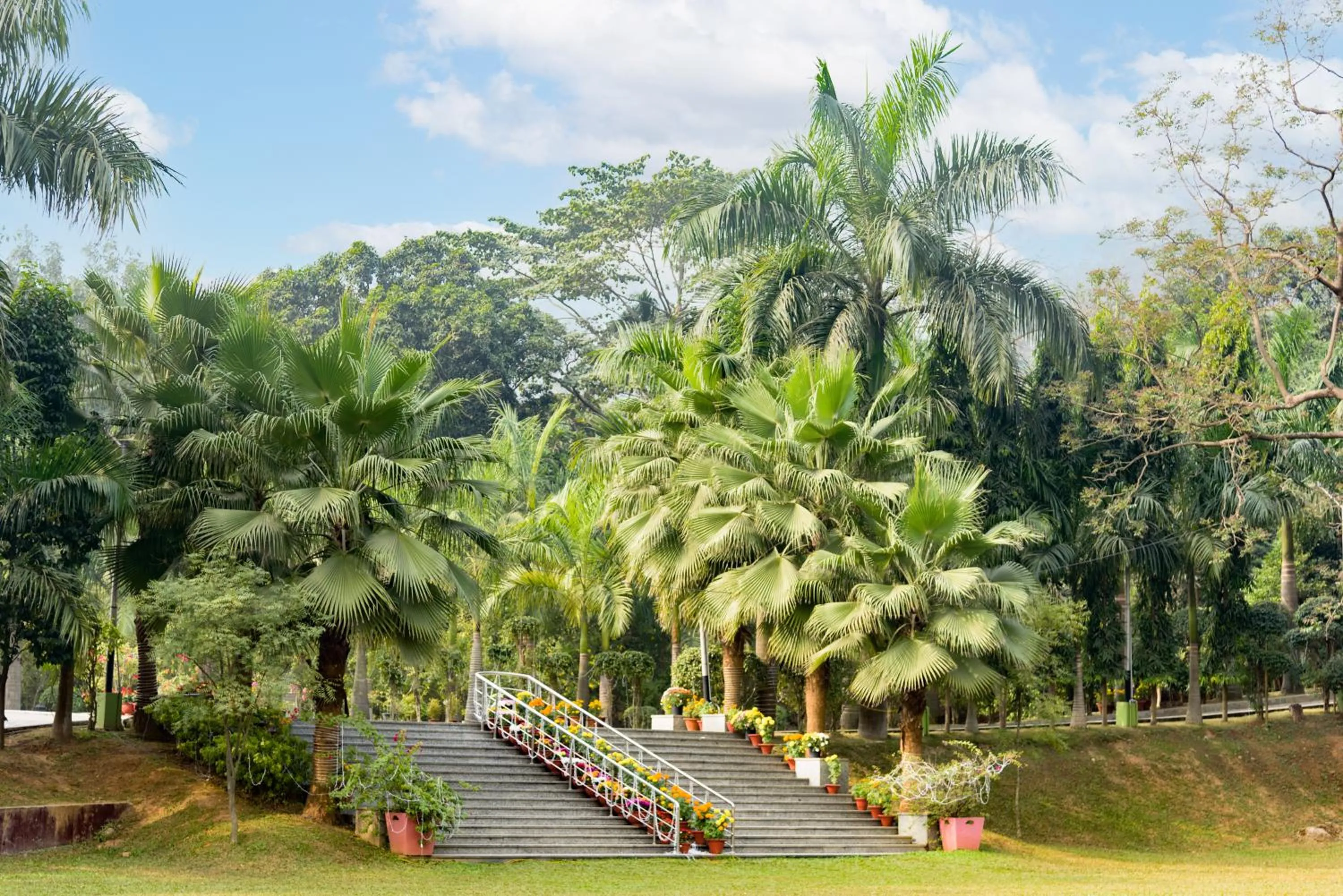 Natural landscape in The Greenwood Resort, Guwahati