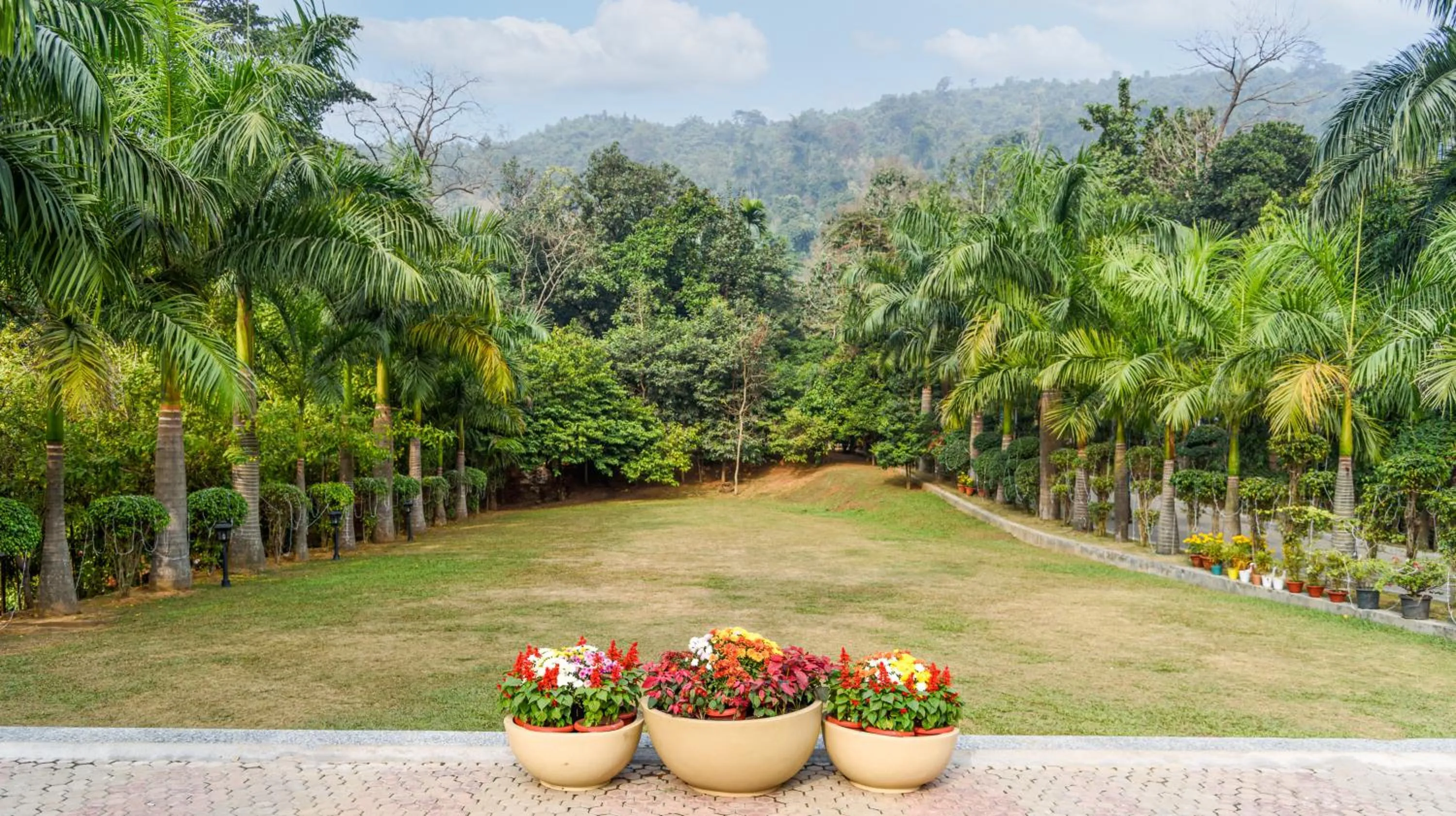 Natural landscape in The Greenwood Resort, Guwahati
