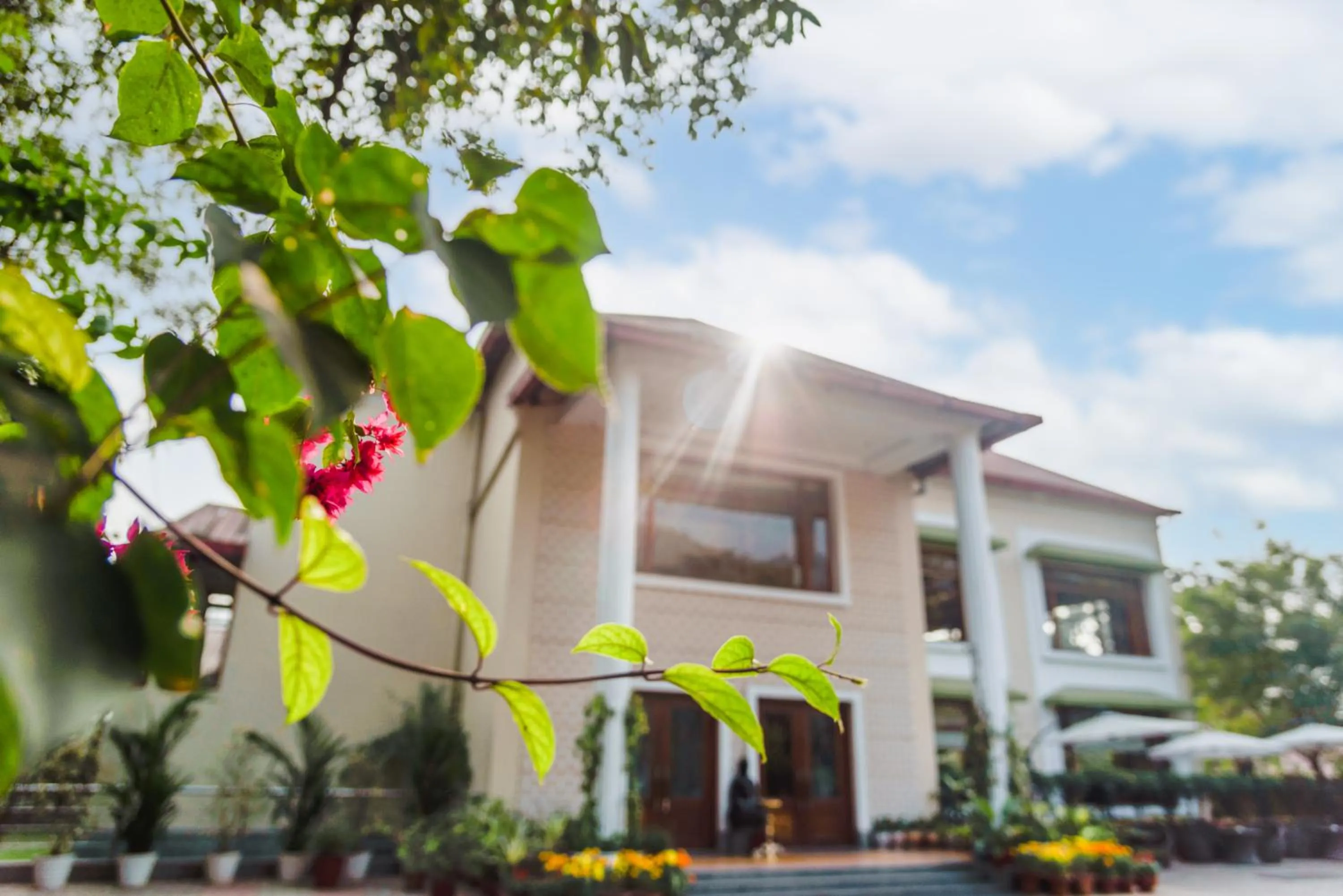 Other in The Greenwood Resort, Guwahati