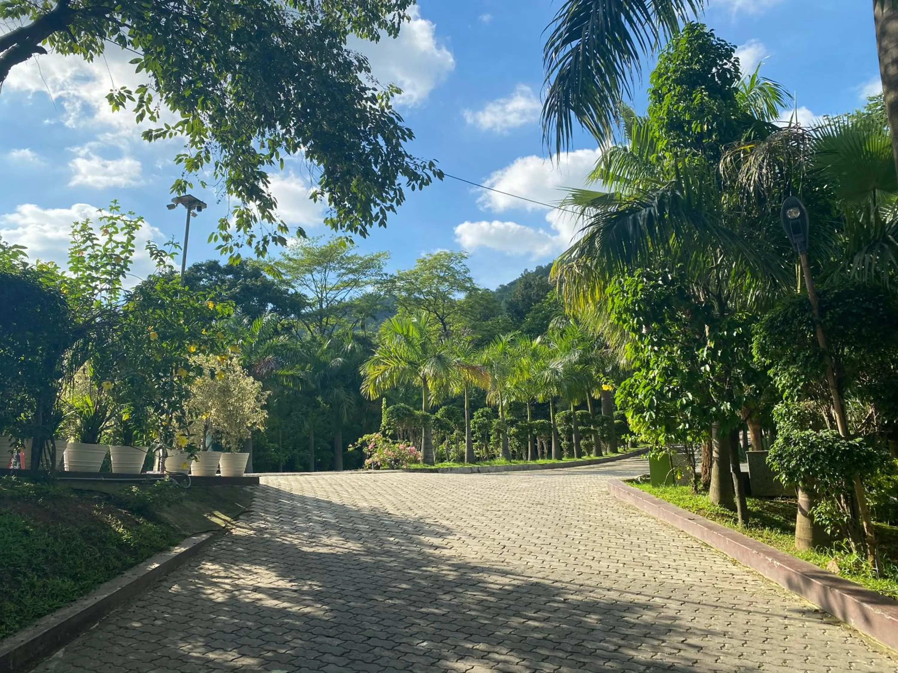 Parking in The Greenwood Resort, Guwahati