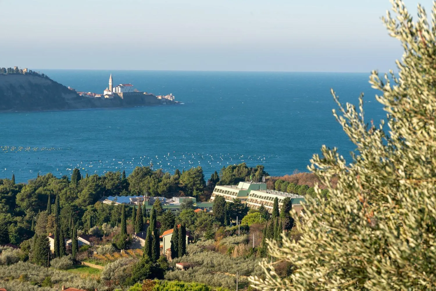 Natural landscape in Hotel Laguna Deluxe - Terme Krka