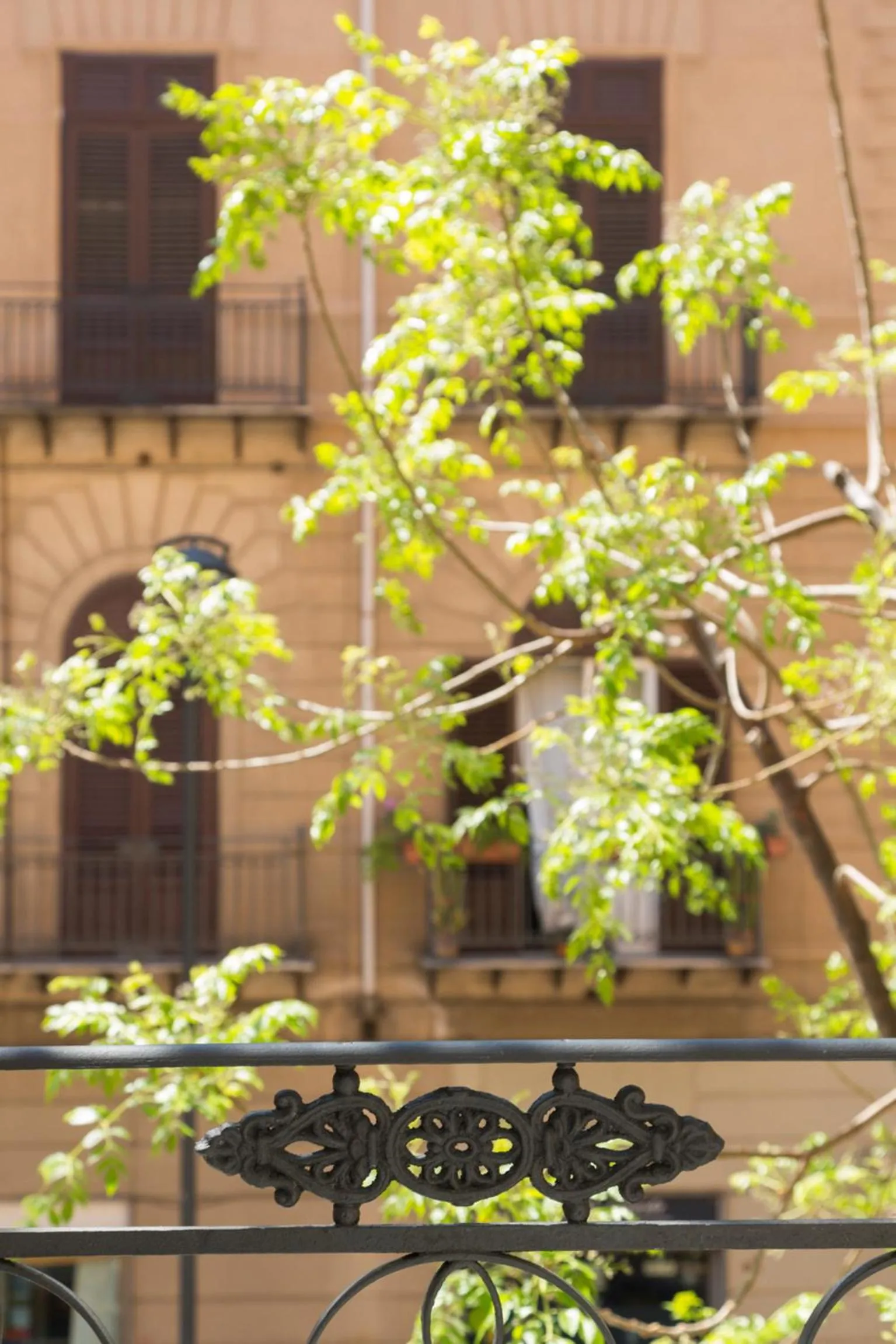 Property building in casa mo room and suite