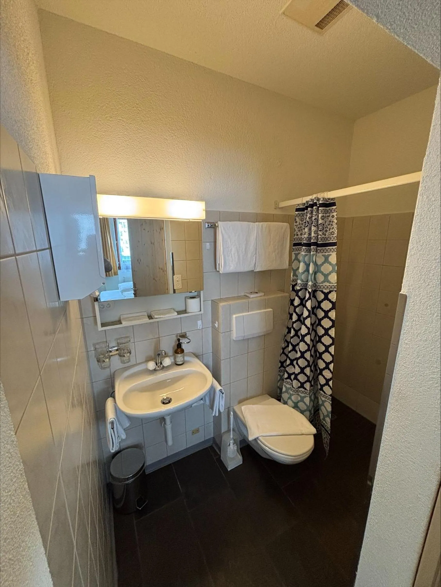 Bathroom in Hirschen Guesthouse - Village Hotel