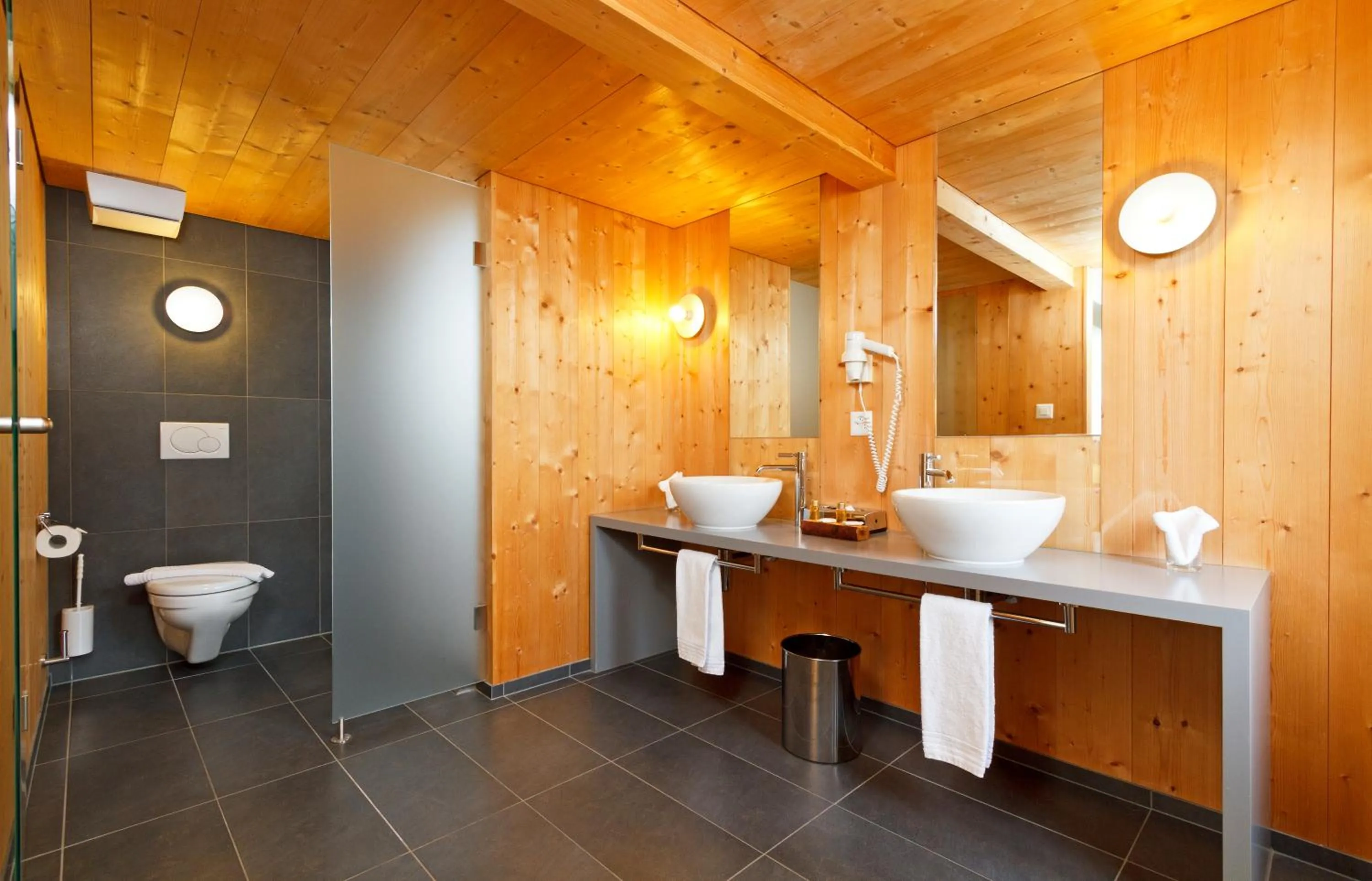 Bathroom in Hirschen Guesthouse - Village Hotel