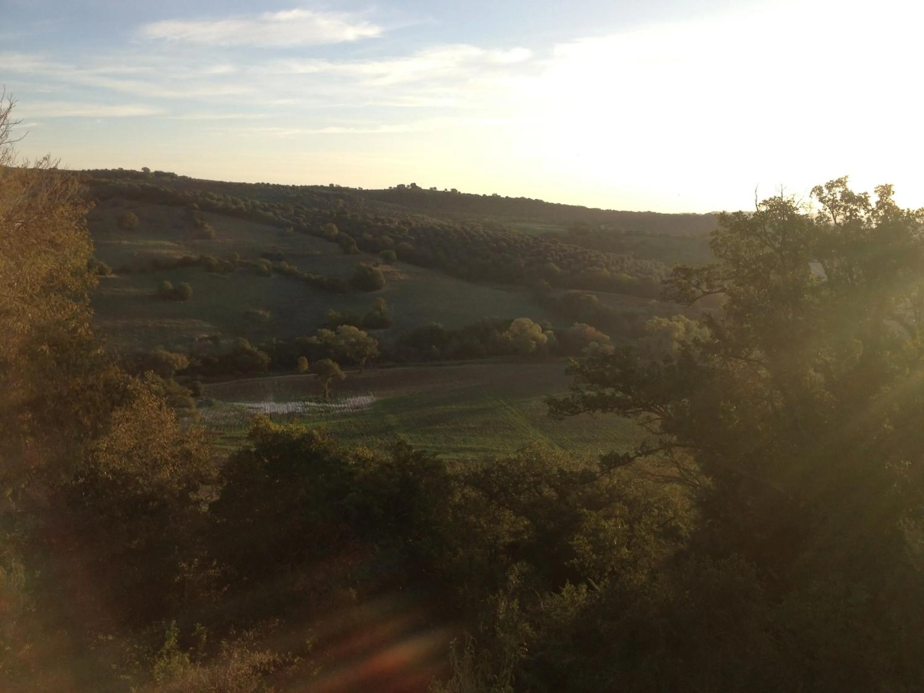 View (from property/room) in Le Tartarughe rooms
