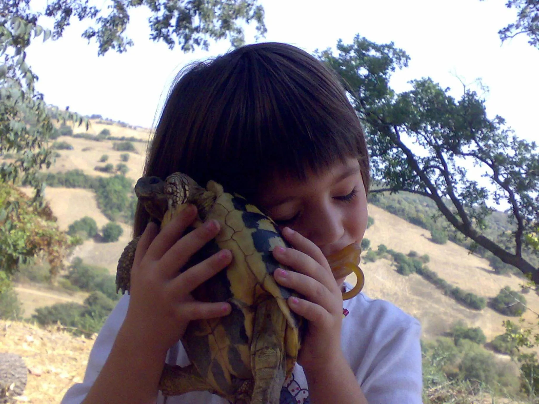 Pets in Le Tartarughe rooms