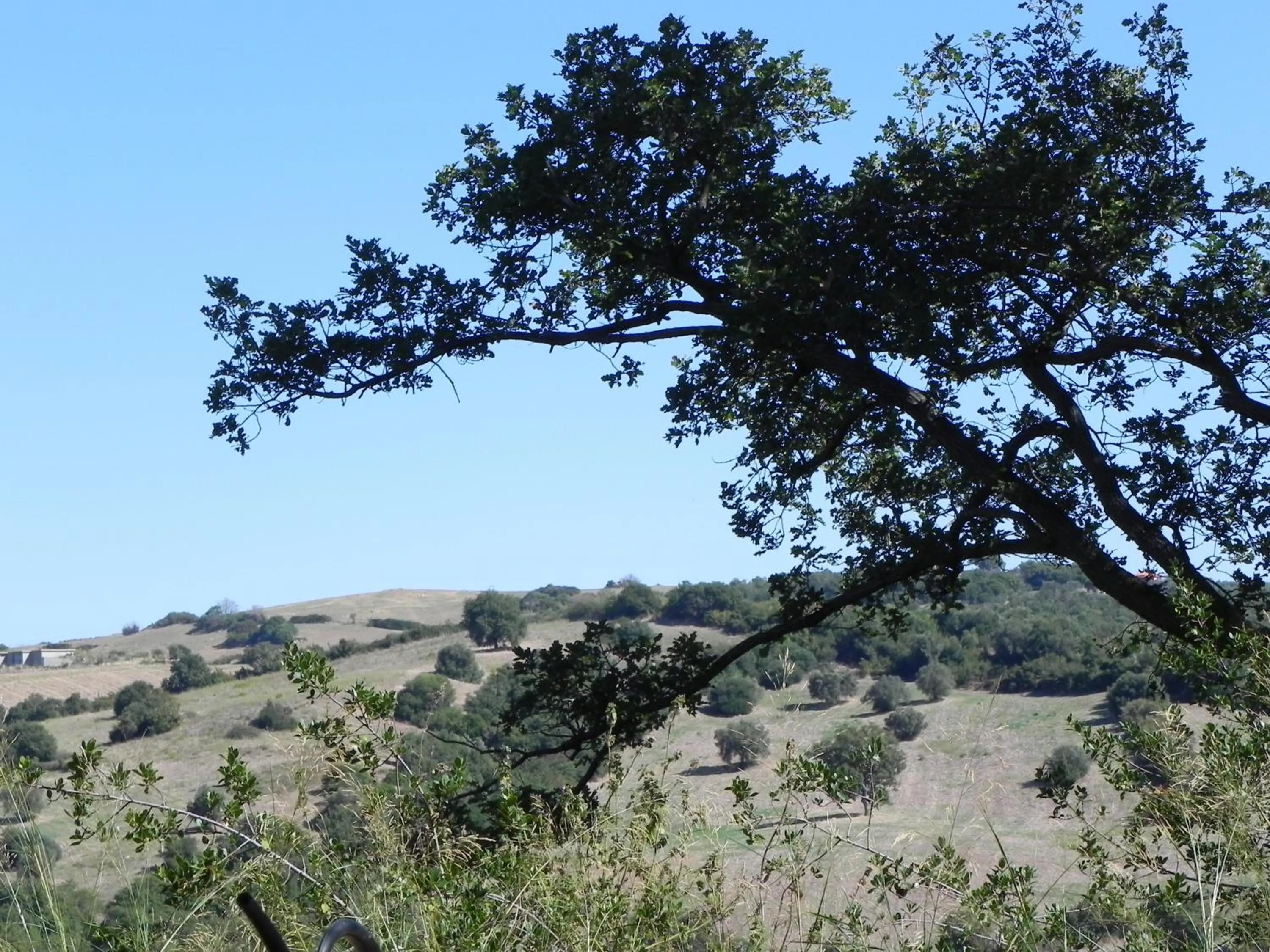 View (from property/room) in Le Tartarughe rooms