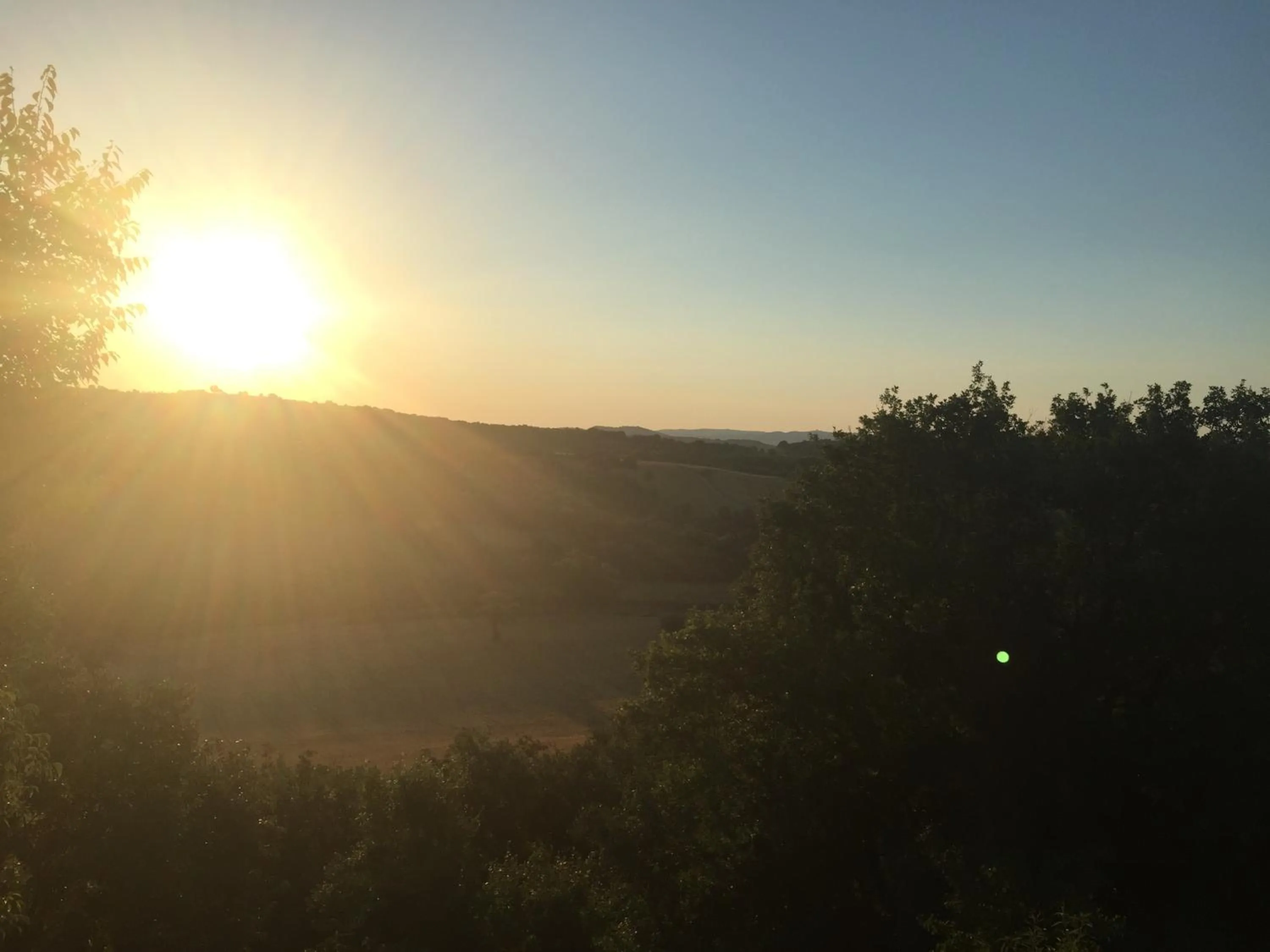 View (from property/room) in Le Tartarughe rooms