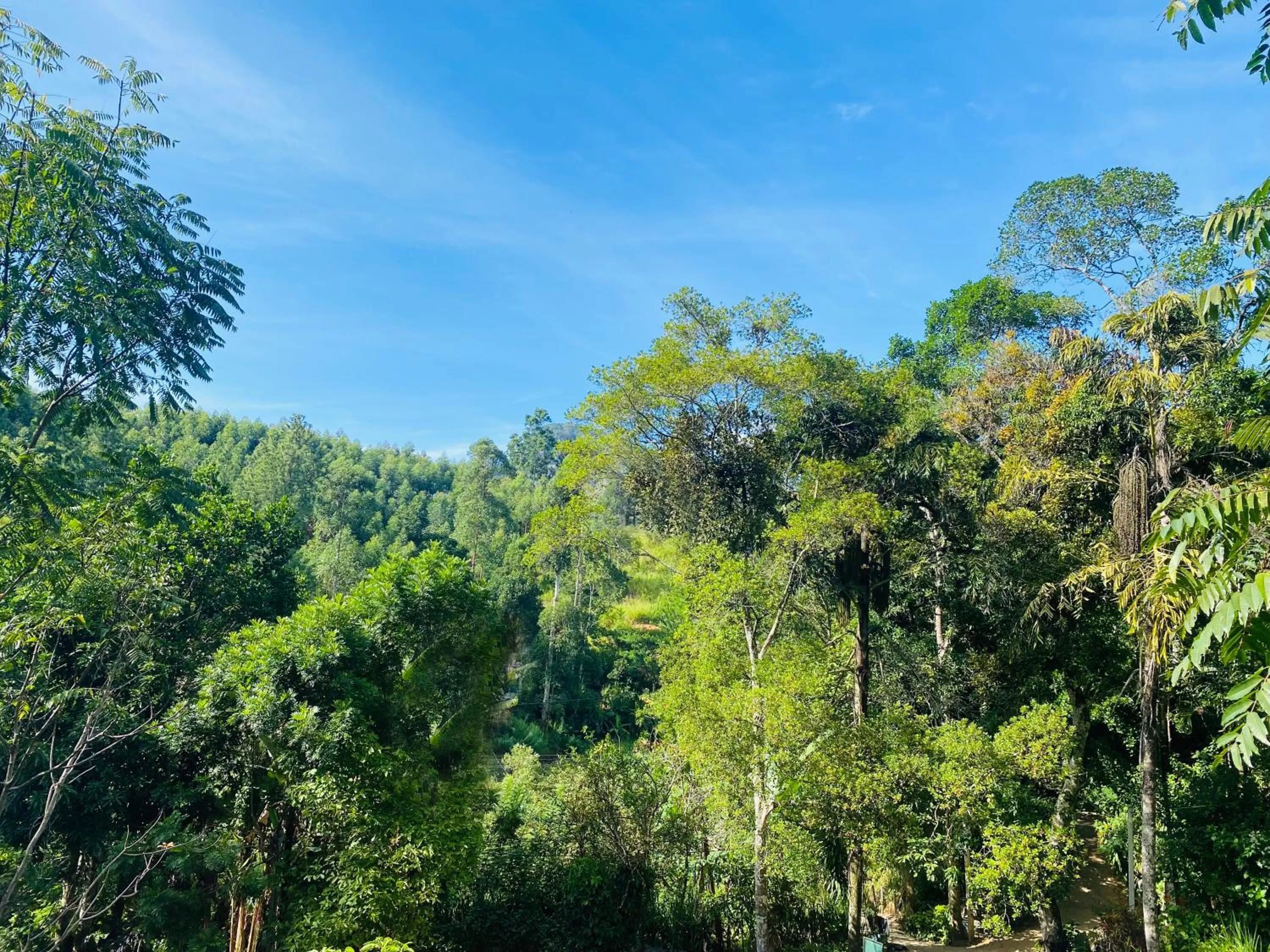 View (from property/room) in Misty Elegance - Ella.