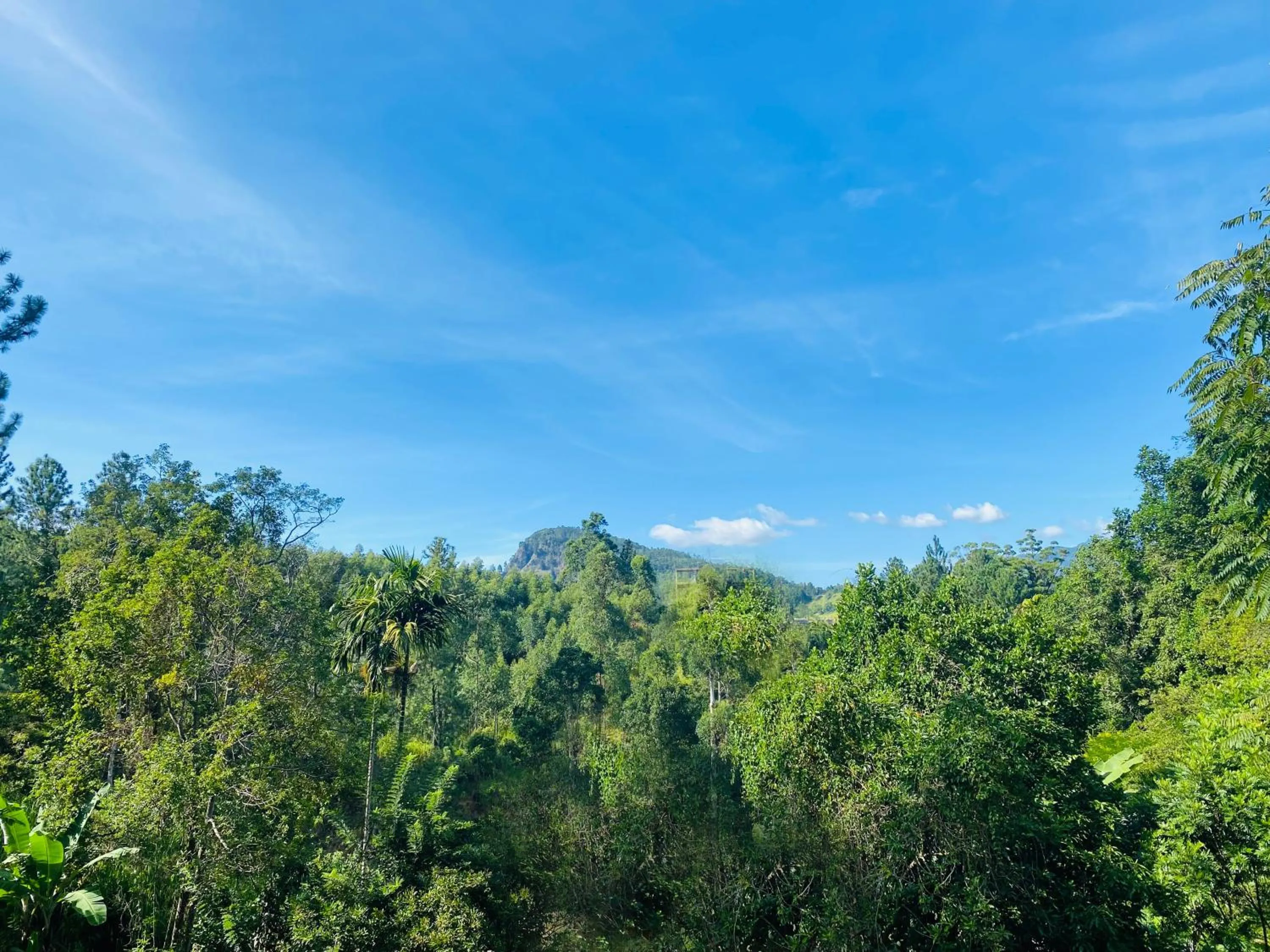 Mountain view in Misty Elegance - Ella.