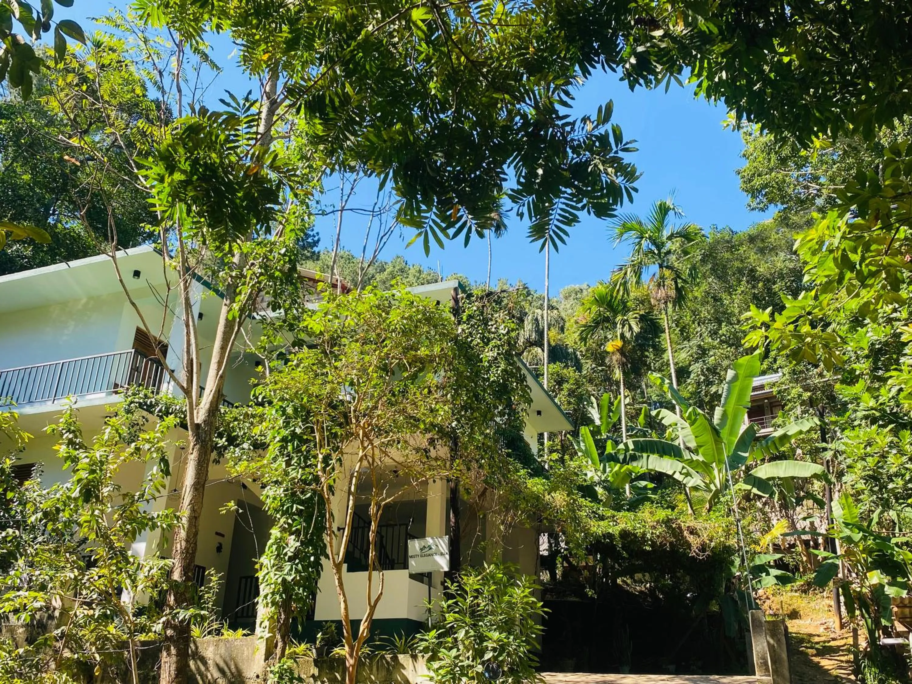 Natural landscape in Misty Elegance - Ella.