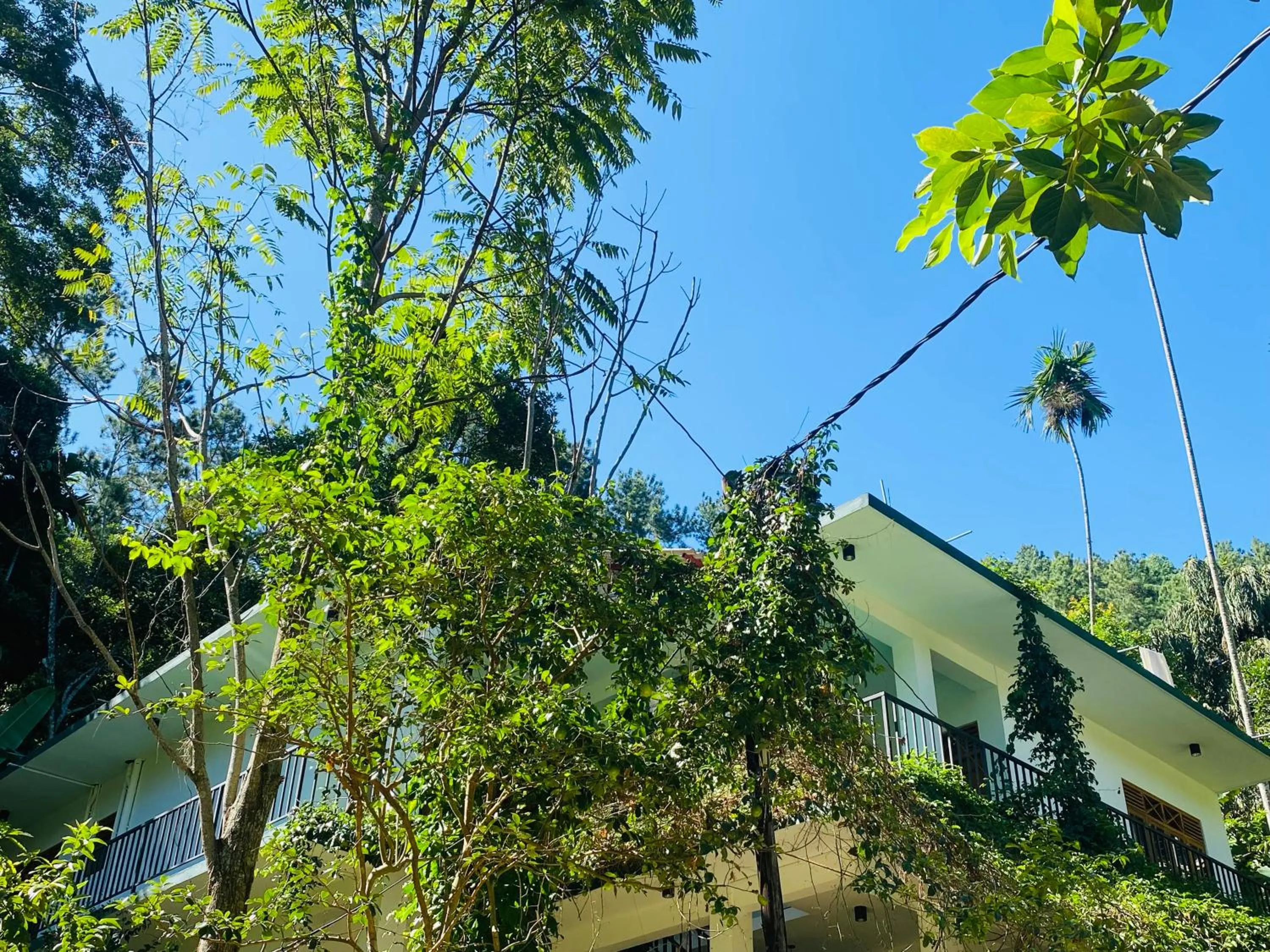 Property building in Misty Elegance - Ella.