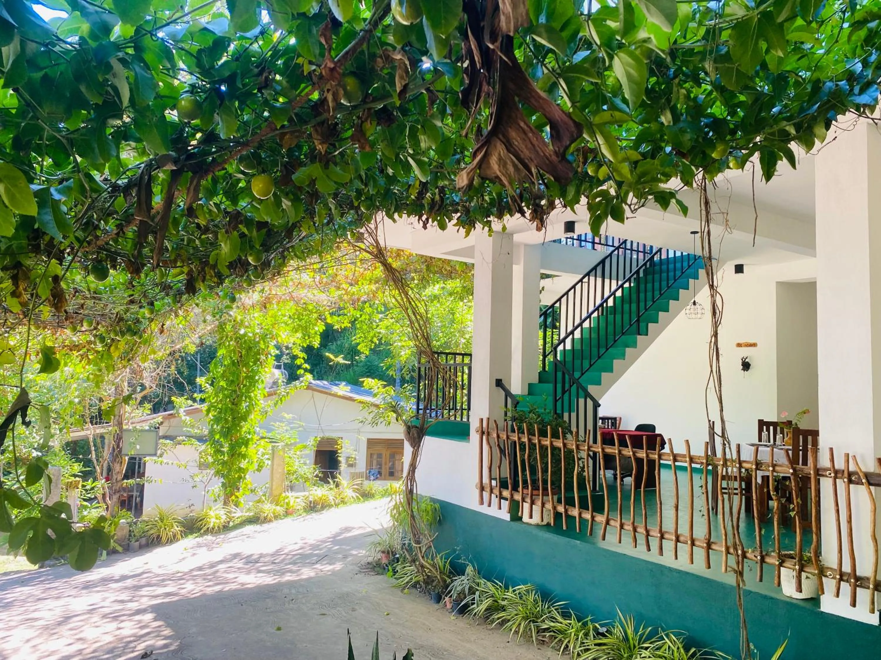 Garden in Misty Elegance - Ella.