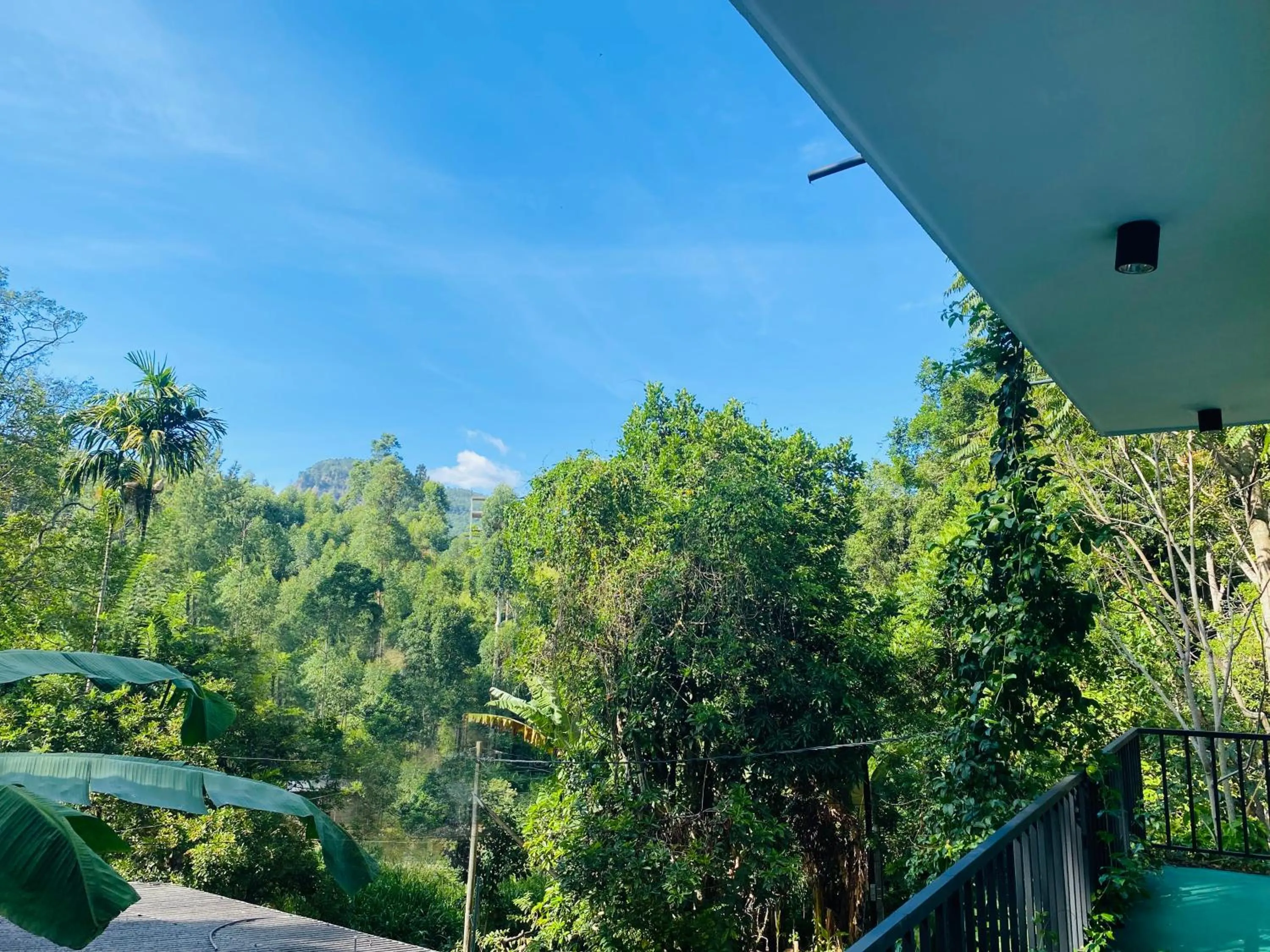 View (from property/room) in Misty Elegance - Ella.