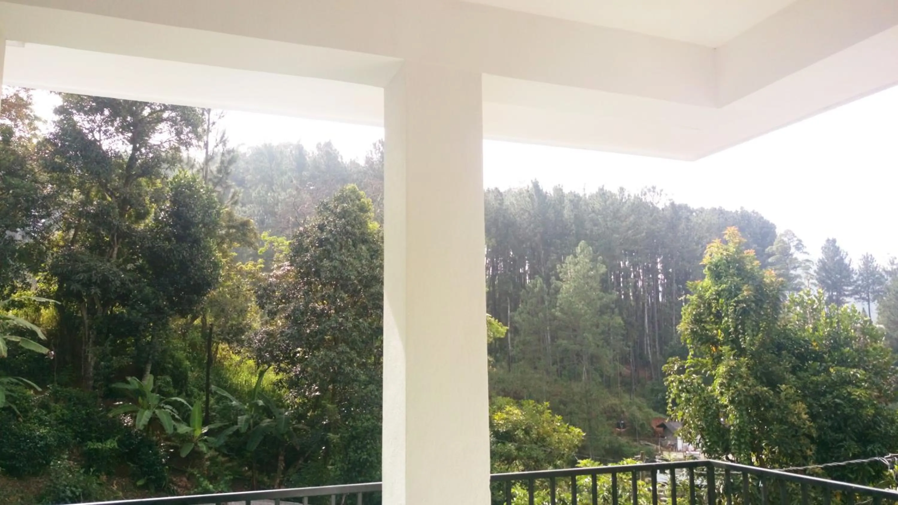 Garden view in Misty Elegance - Ella.