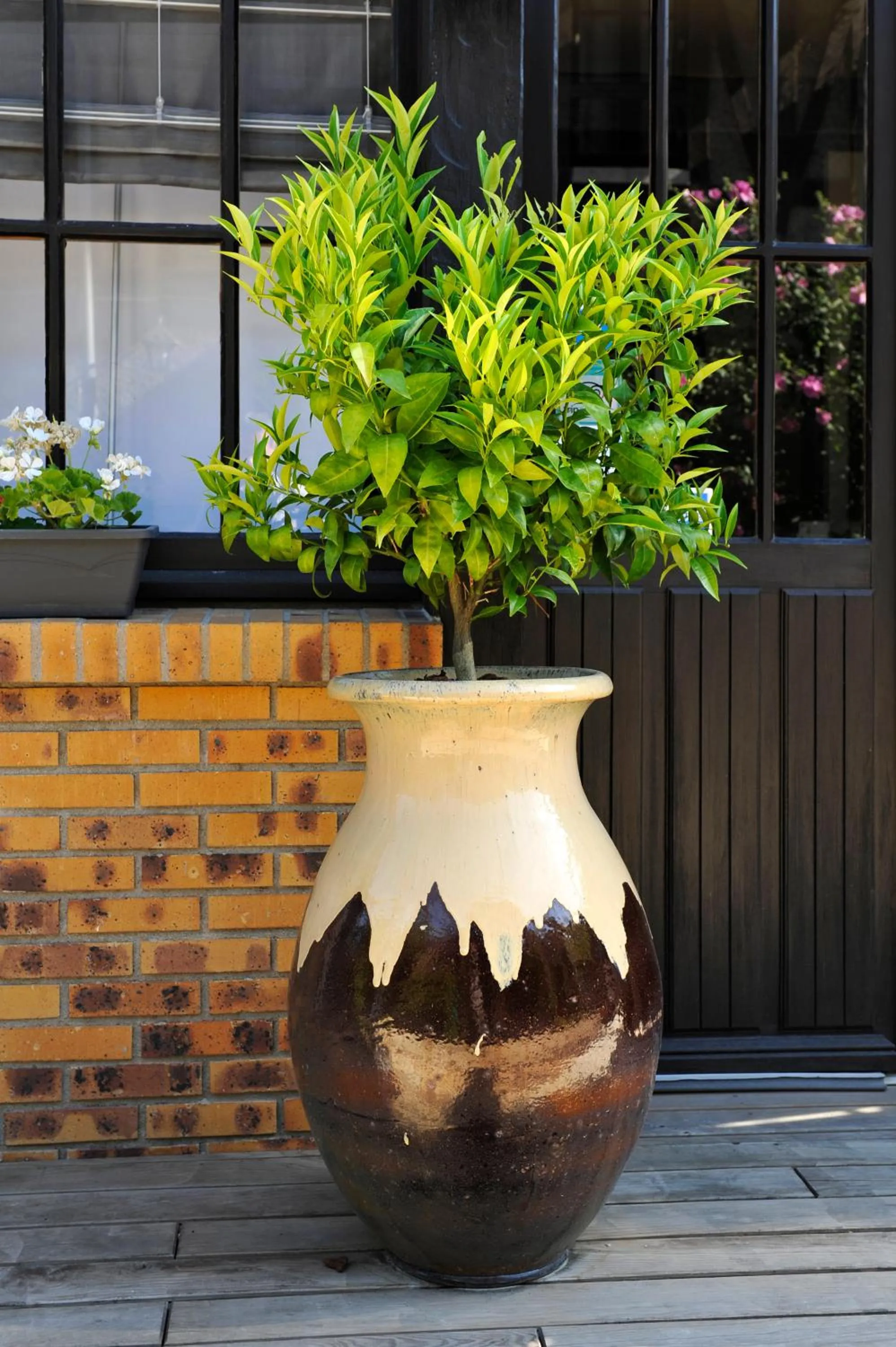 Decorative detail in Logis Hotels Restaurant le SAINT-JACQUES -Cloyes les 3 Rivieres