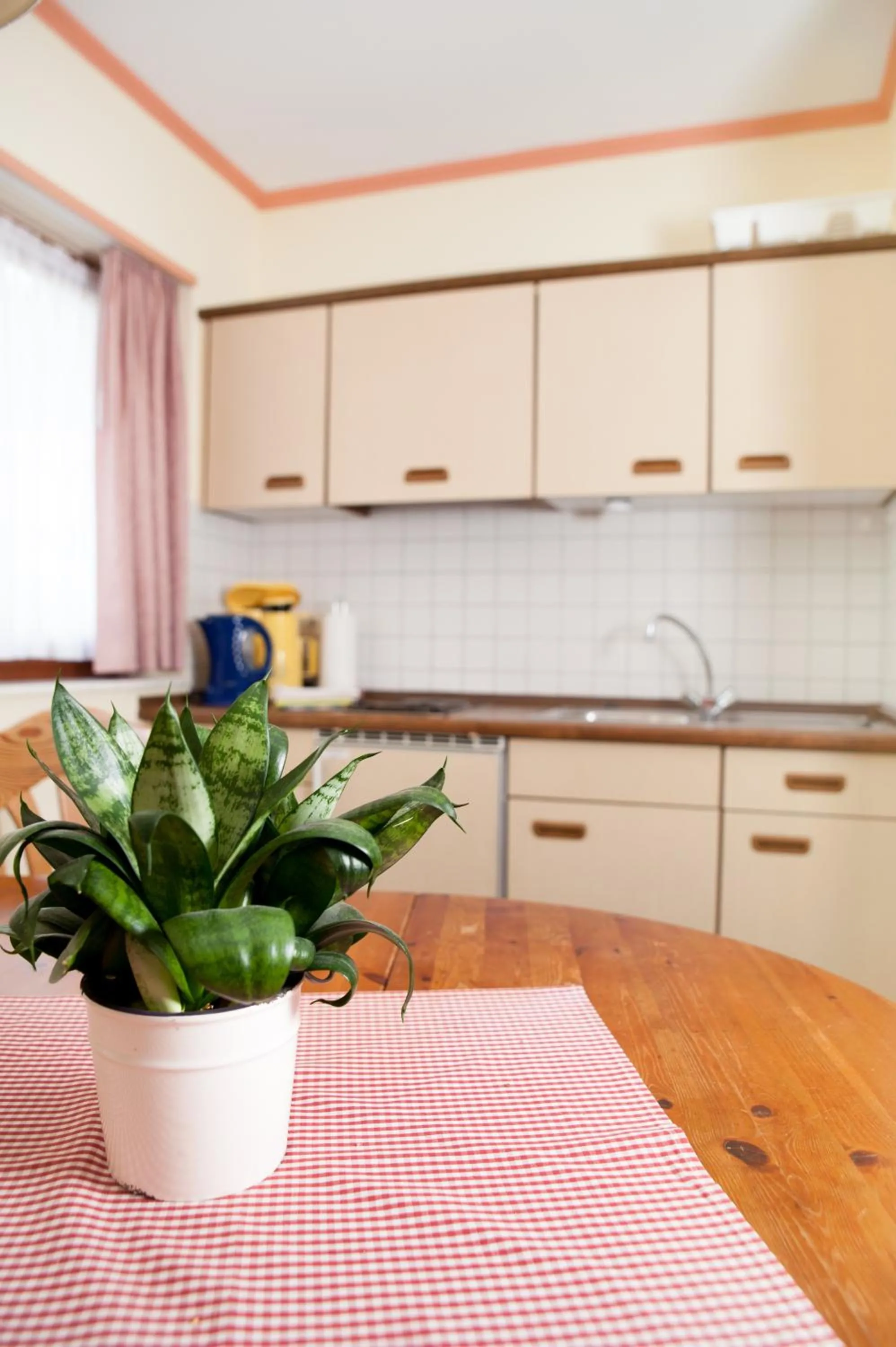 Kitchen or kitchenette in Ferienapartments Schnibbe