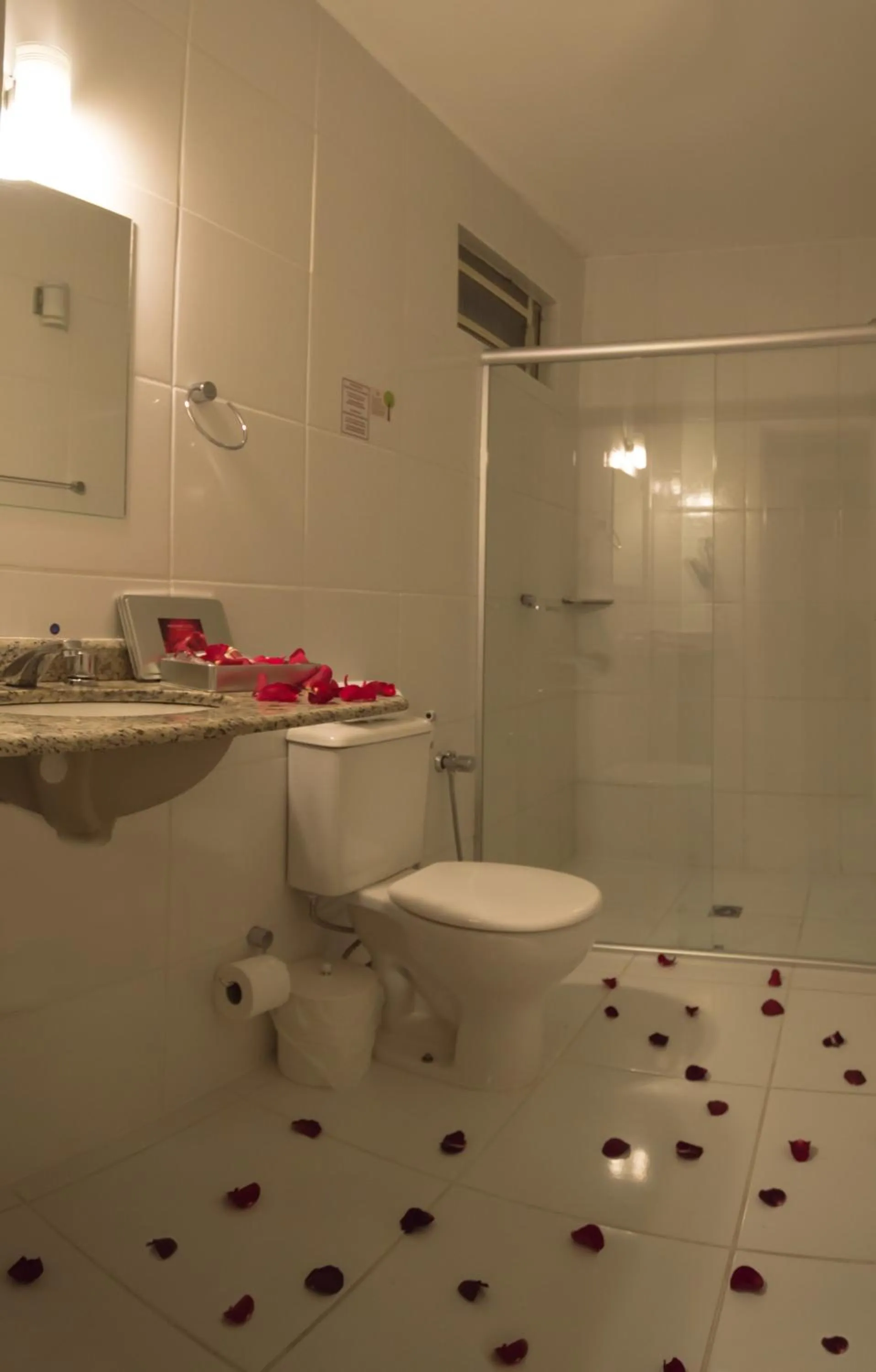 Toilet in SJ Jaguariaíva - San Juan Jaguariaíva