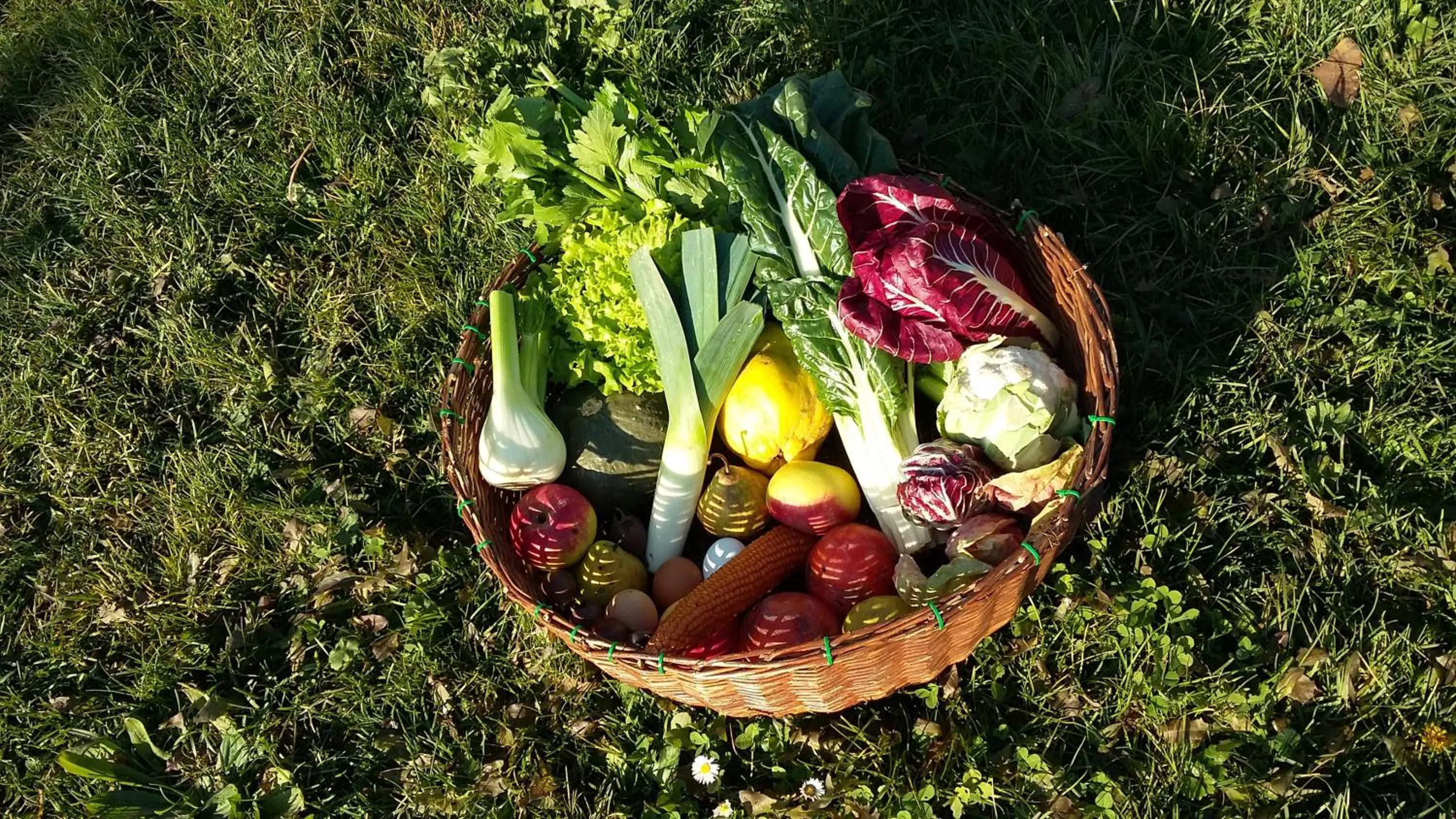 Other in Agriturismo Corte Carolina