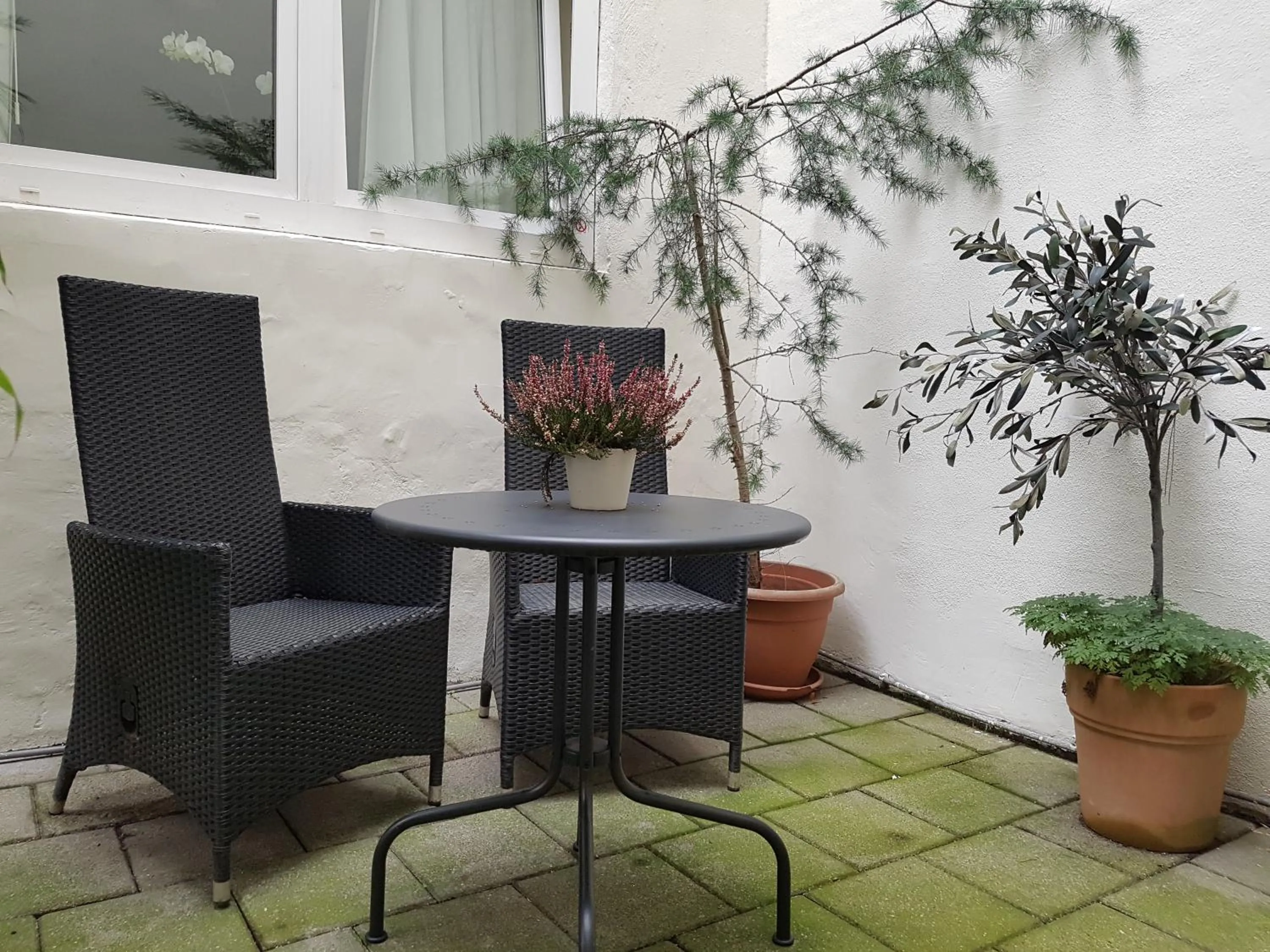 Patio in B&B Wladimir Studios