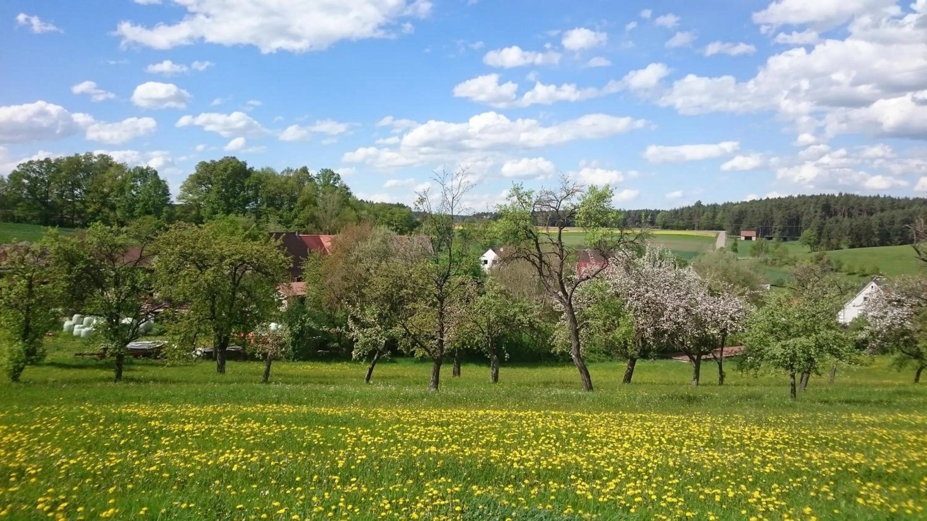 Hiking in Boutique Hotel & Bio Wirtshaus Schwarzer Bock