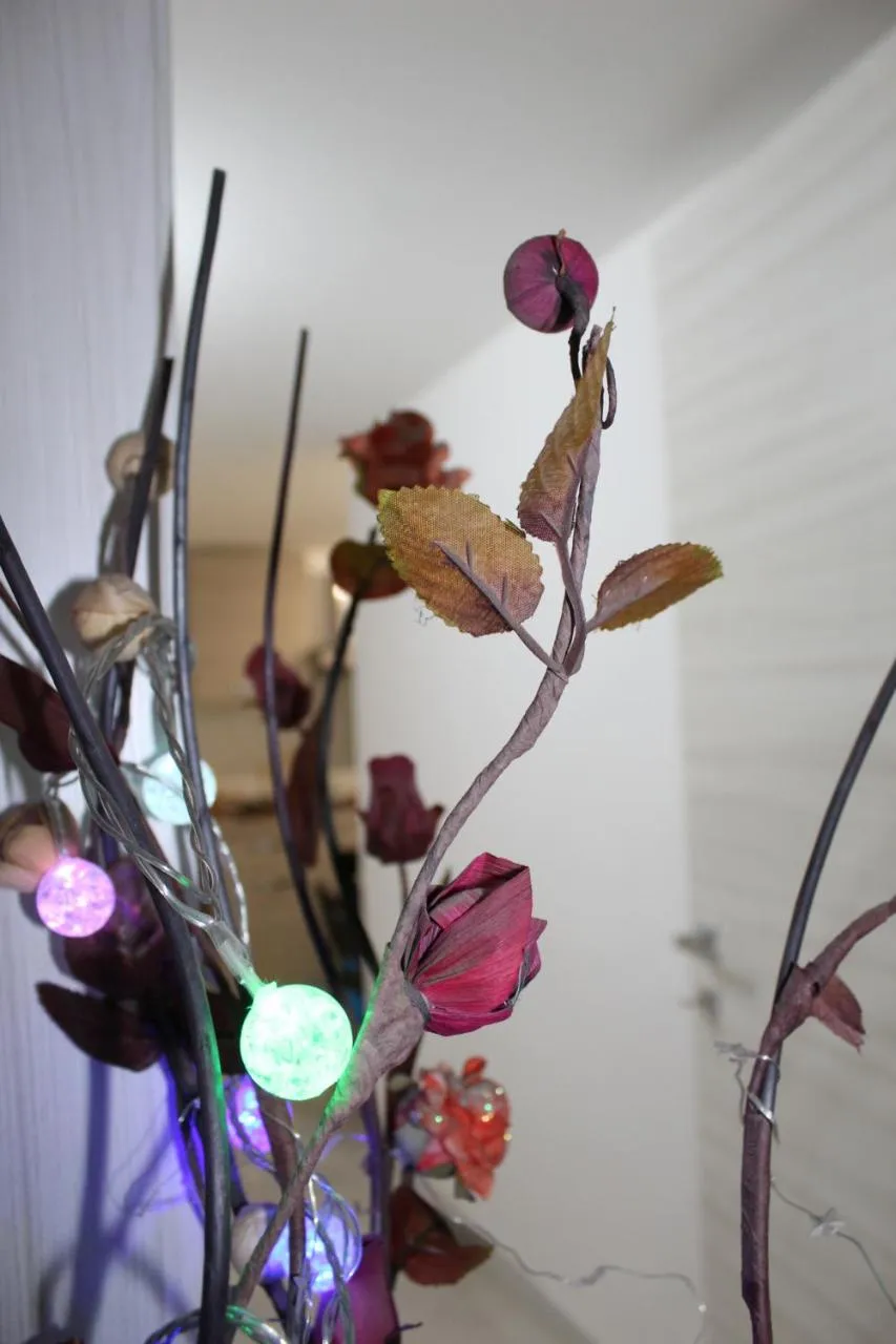 Decorative detail in Gymnasium