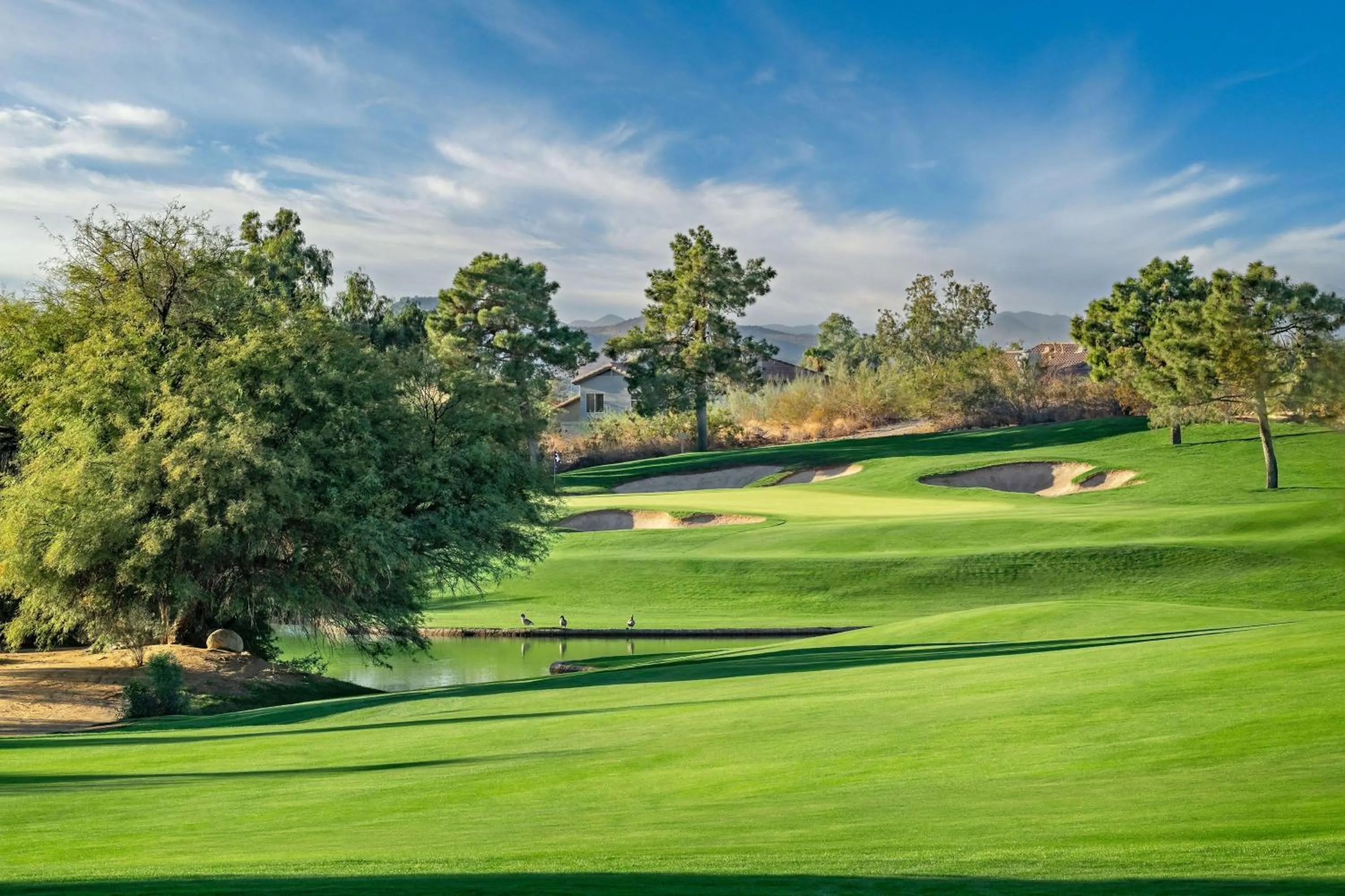 Golfcourse in Hilton Phoenix Tapatio Cliffs Resort