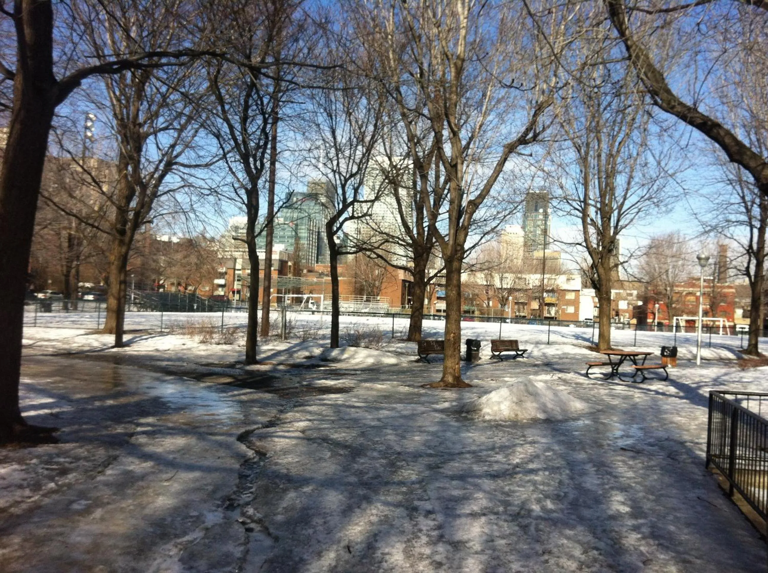 Natural landscape in Repos & Manna Downtown Montréal