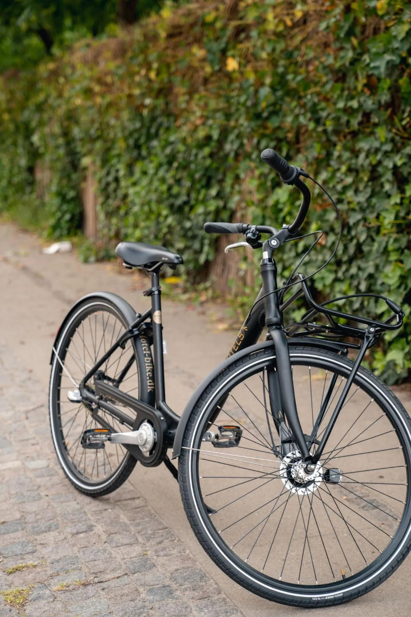 Cycling in Bryggen Guldsmeden