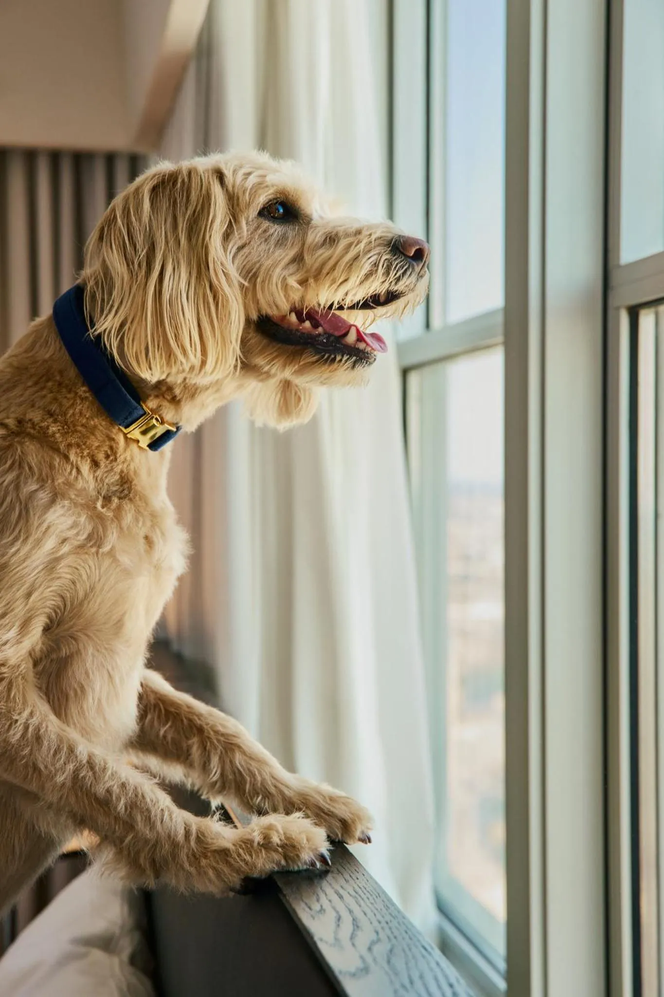 Other in Loews Philadelphia Hotel