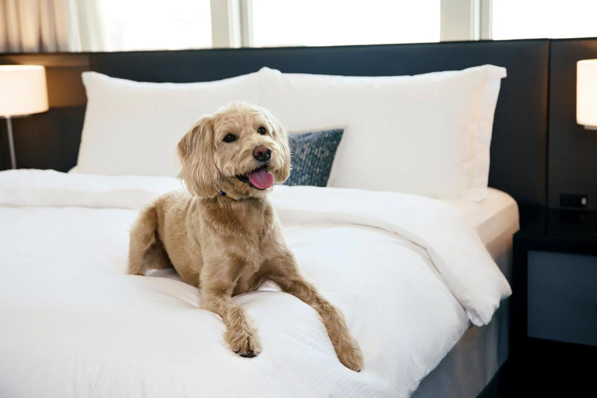 Other, Bed in Loews Philadelphia Hotel