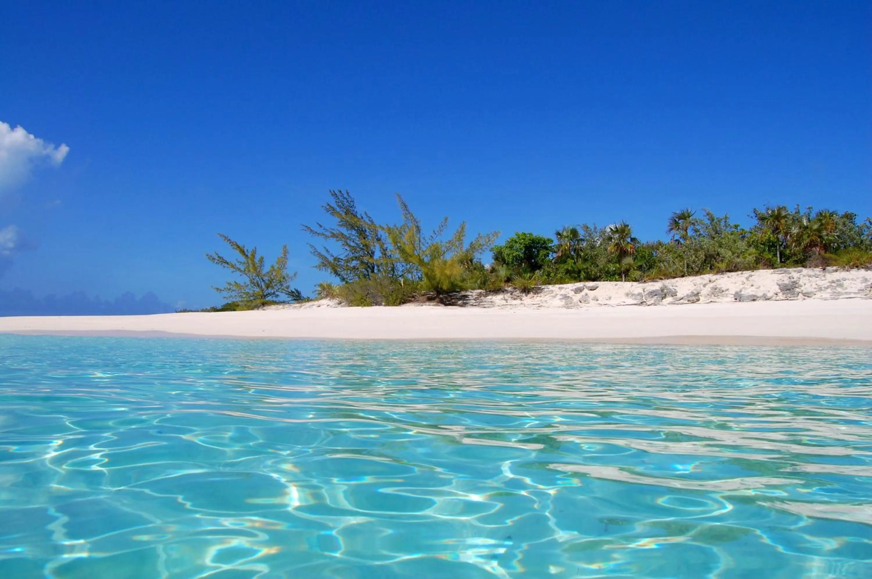 Other in Paradise Bay Bahamas