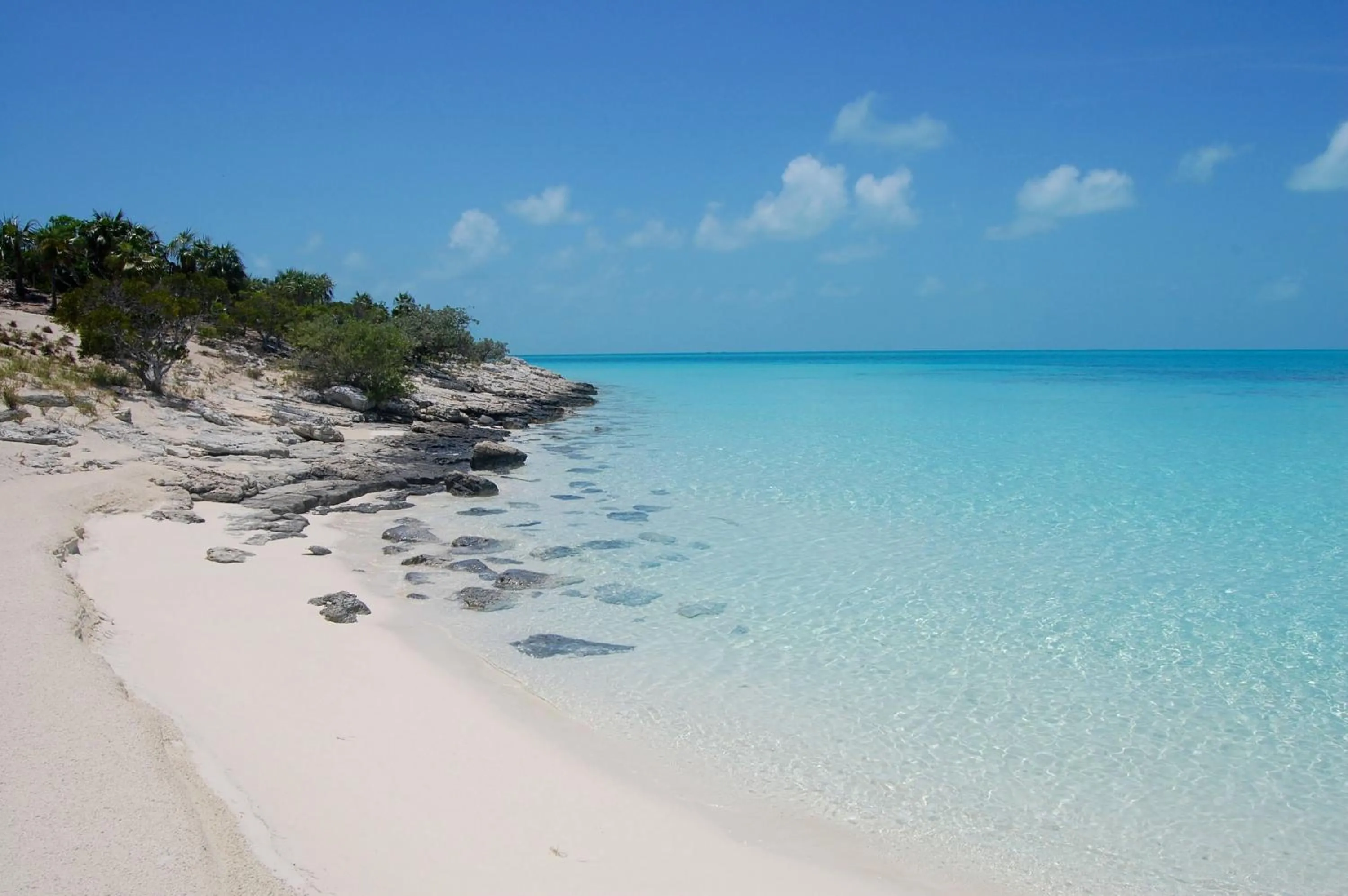 Other in Paradise Bay Bahamas